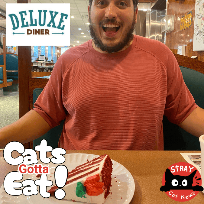Deluxe Diner, a Shillington PA Favorite Serving Up Classic Comfort Foods