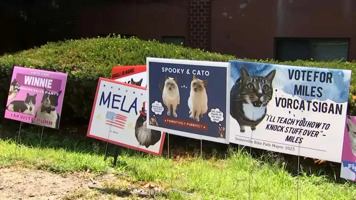 This 2025 Cat Mayoral Race is Taking Over Somerville — And America’s Hearts