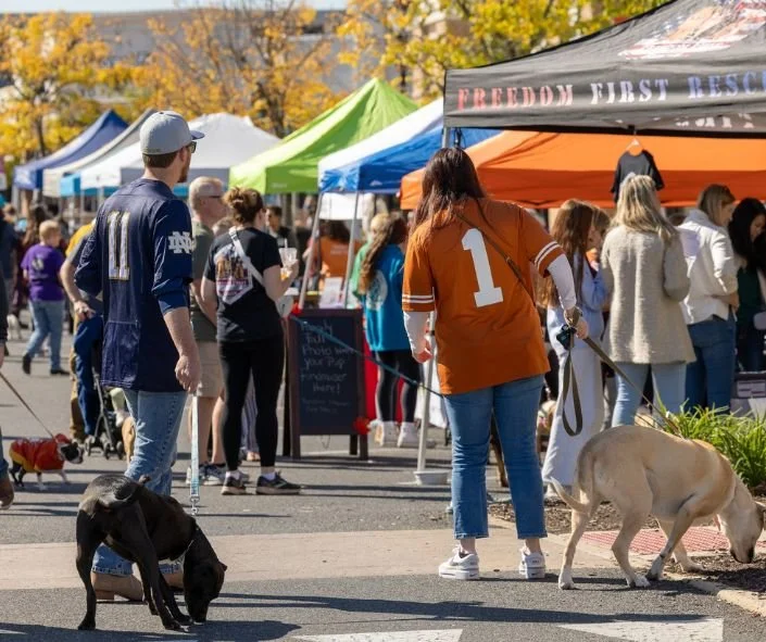 October Cat Events in Pennsylvania You Canโt Miss