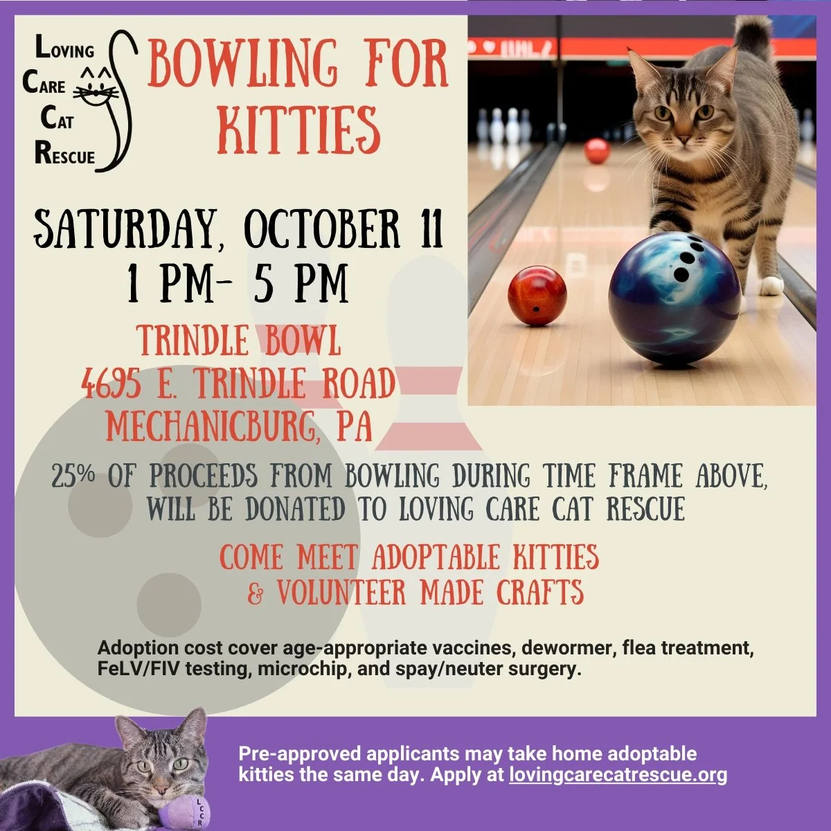 Bowling for Kitties Adoption Event – Trindle Bowl, Mechanicsburg PA