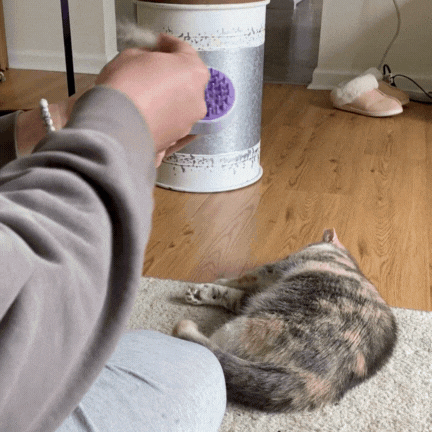 Mama the stray rescue cat getting brushed with our Pet Steam Groomer Brush!