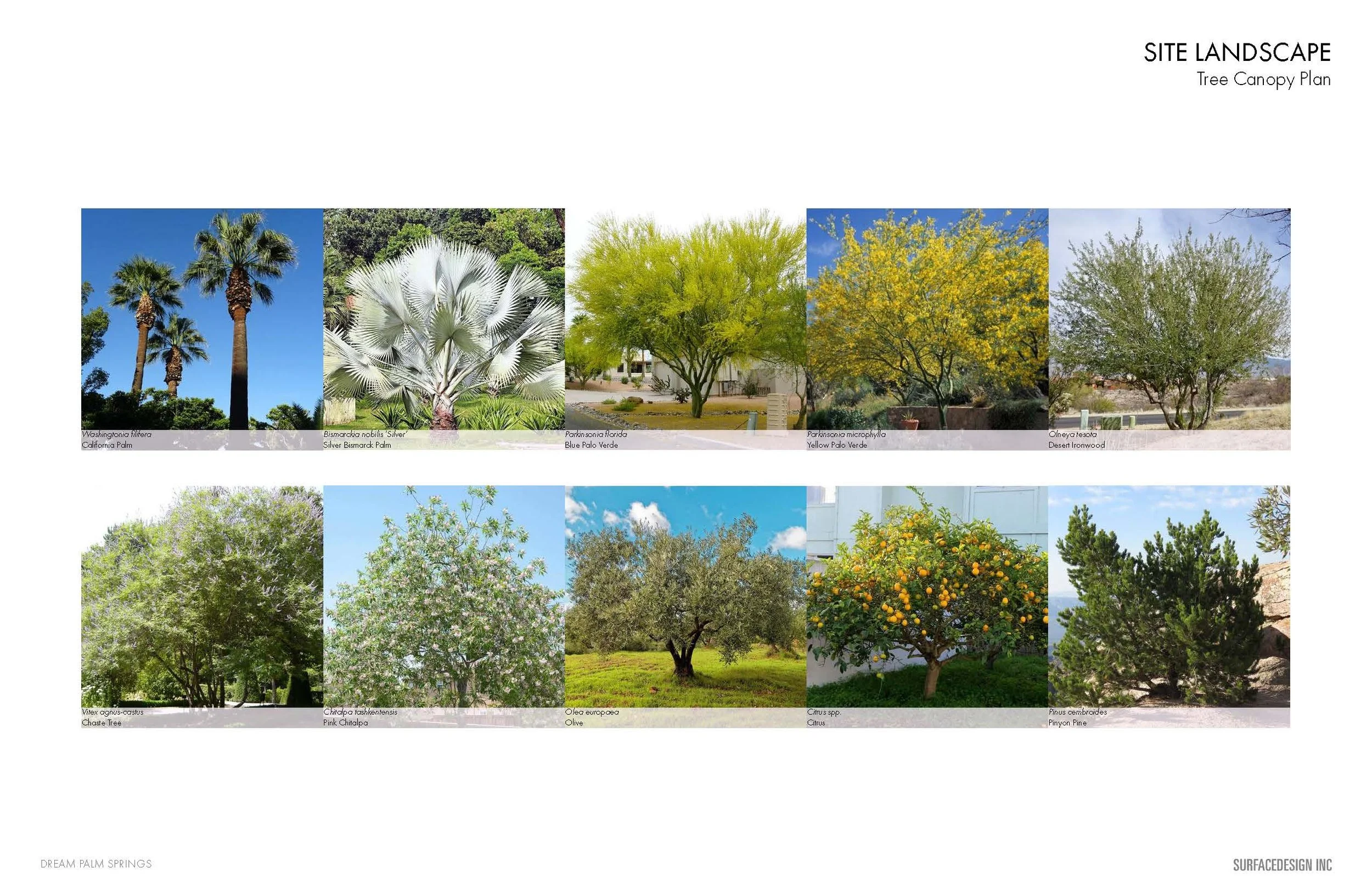 20241018_Dream PS_ARC Package_Page_12.jpg