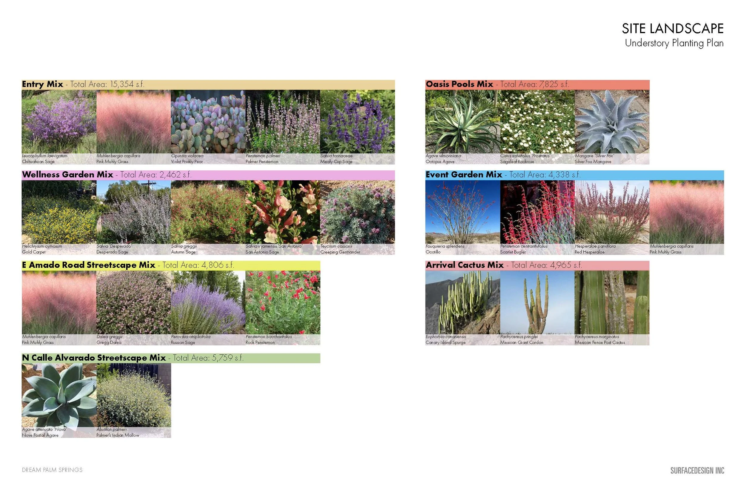 20241018_Dream PS_ARC Package_Page_14.jpg