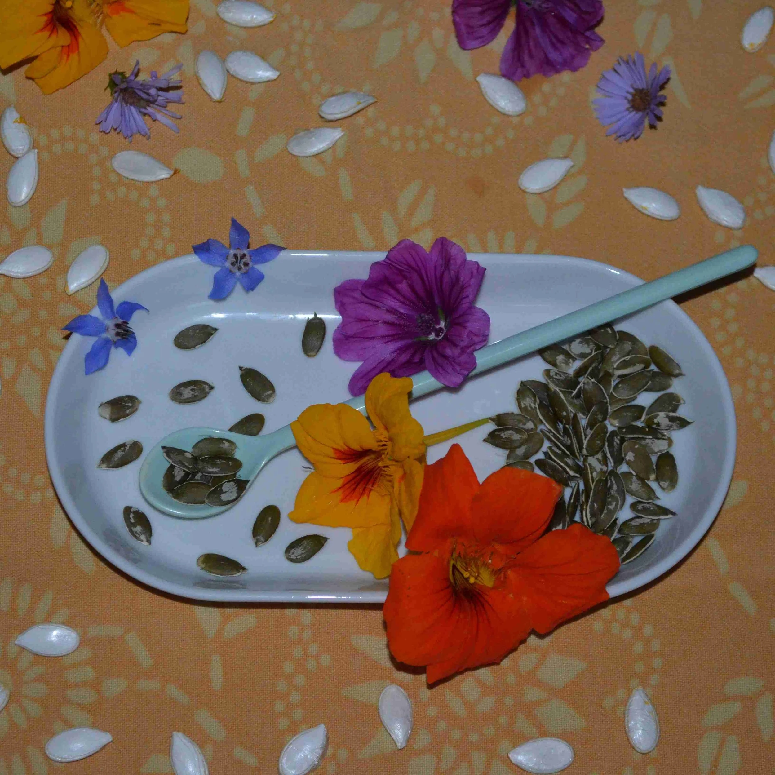 Kürbiskern-Snack
