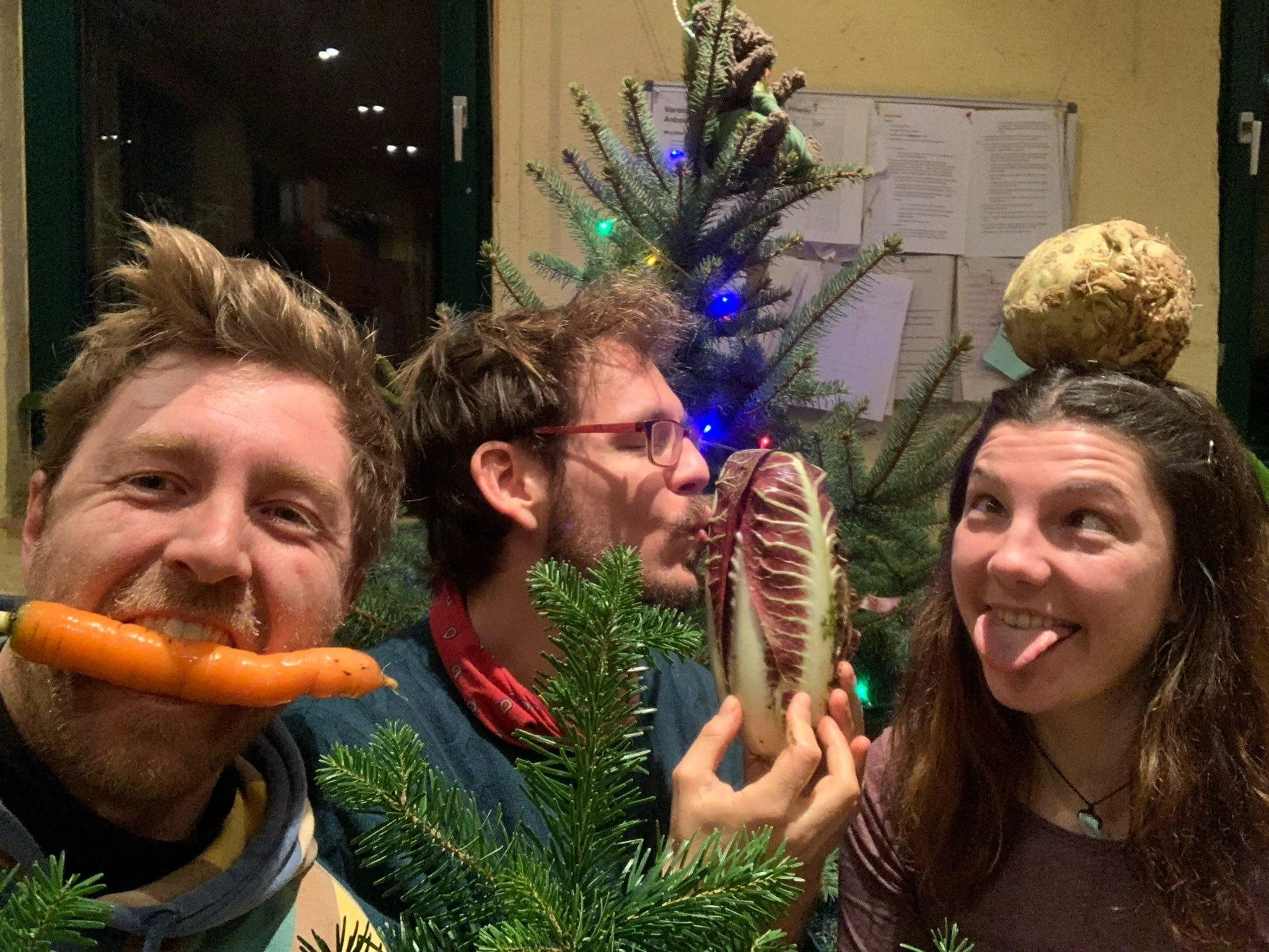 signal-2023-12-19-175709_002.jpeg