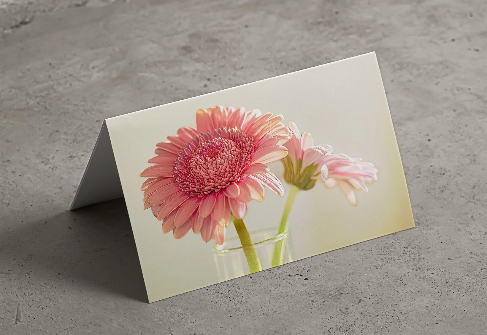 Card Mockup 3.jpg