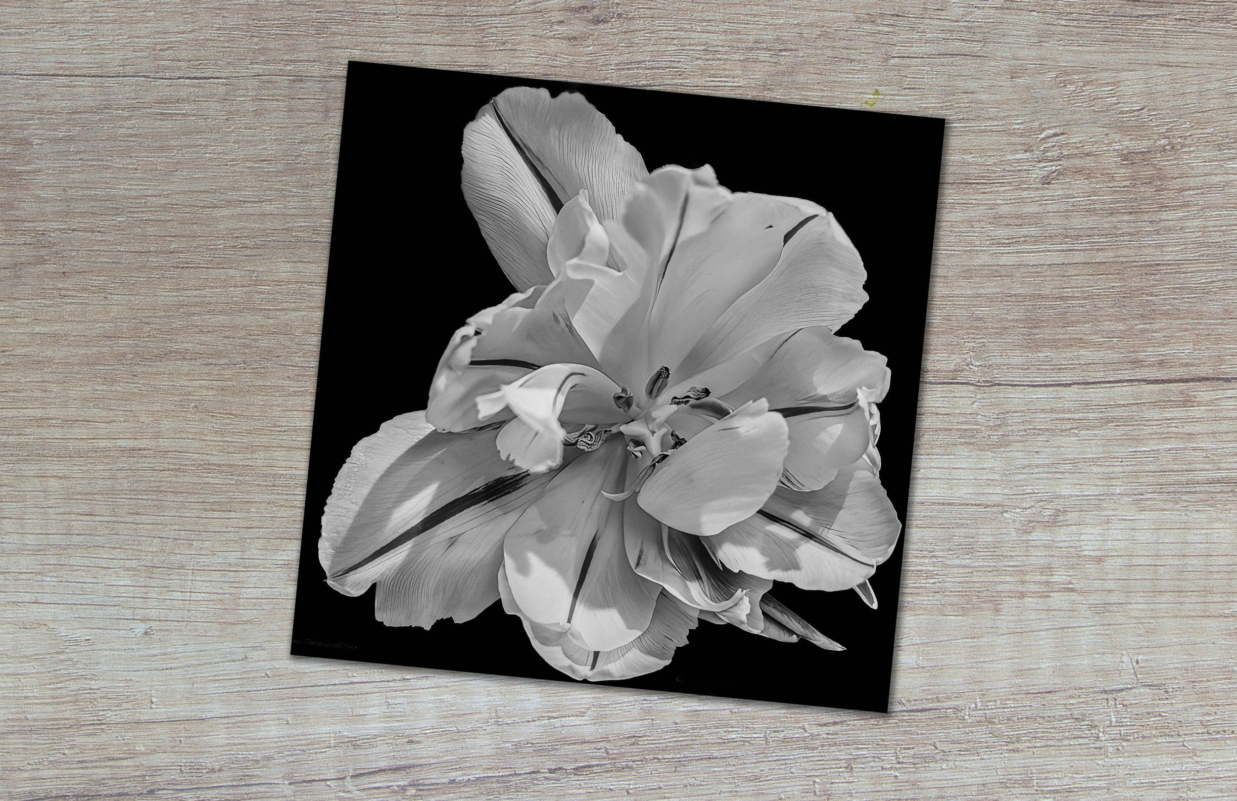 Card Mockup 13.jpg