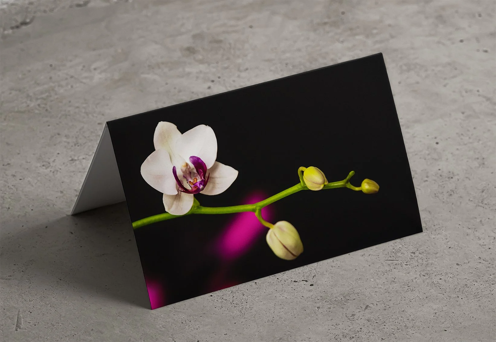 Card Mockup 5.jpg