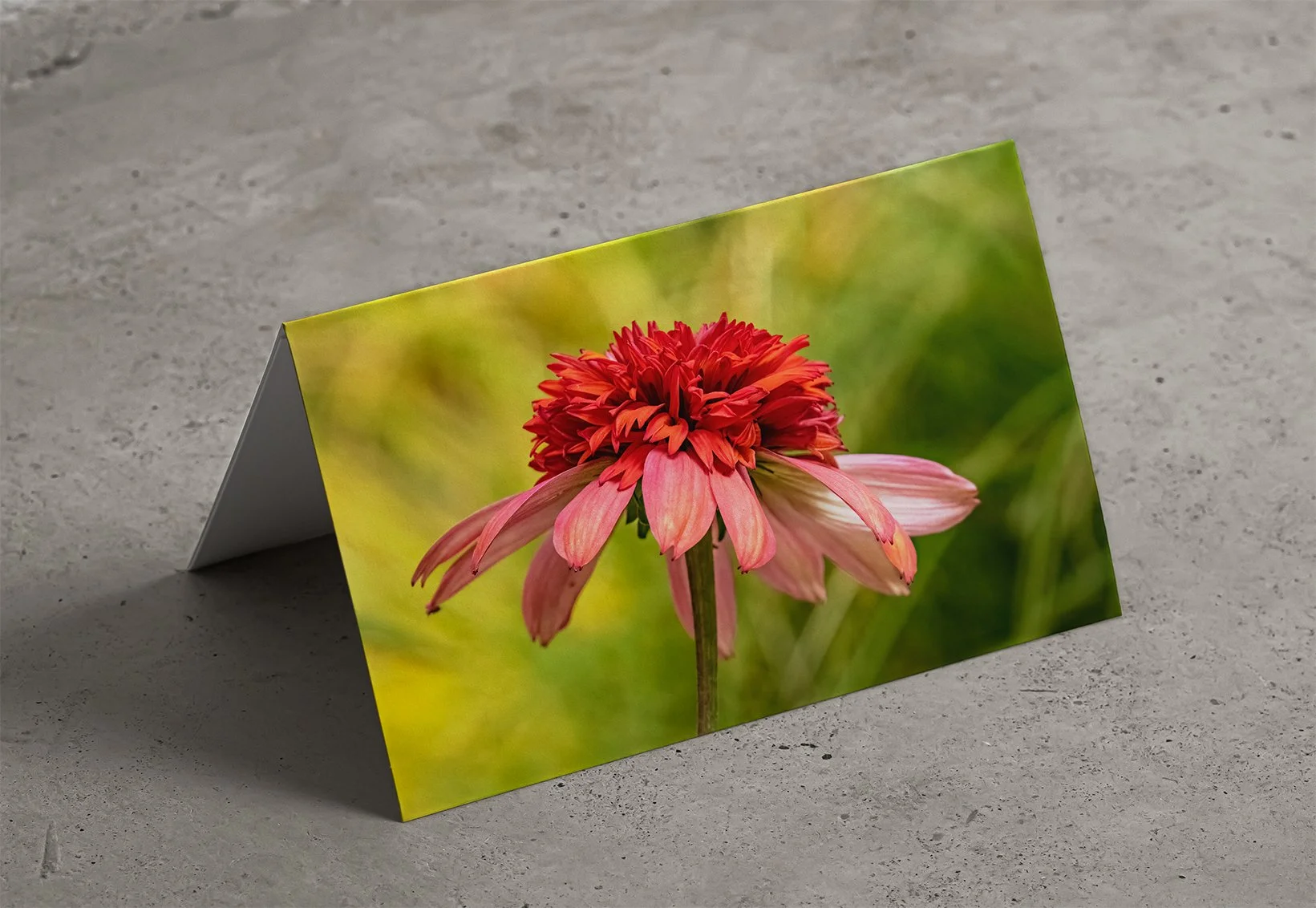 Card Mockup 11.jpg