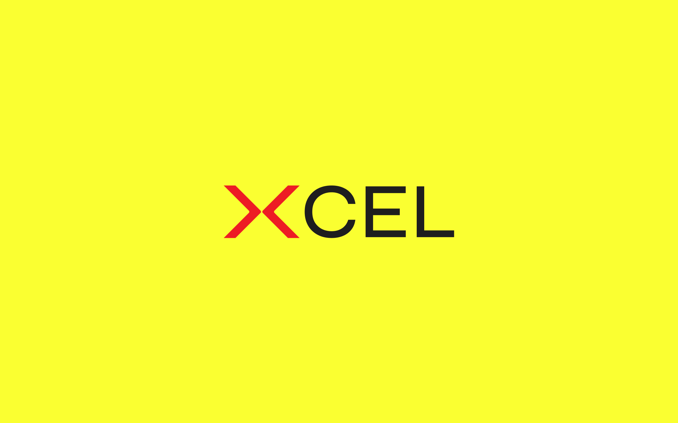 Portfolio Xcel-9.png