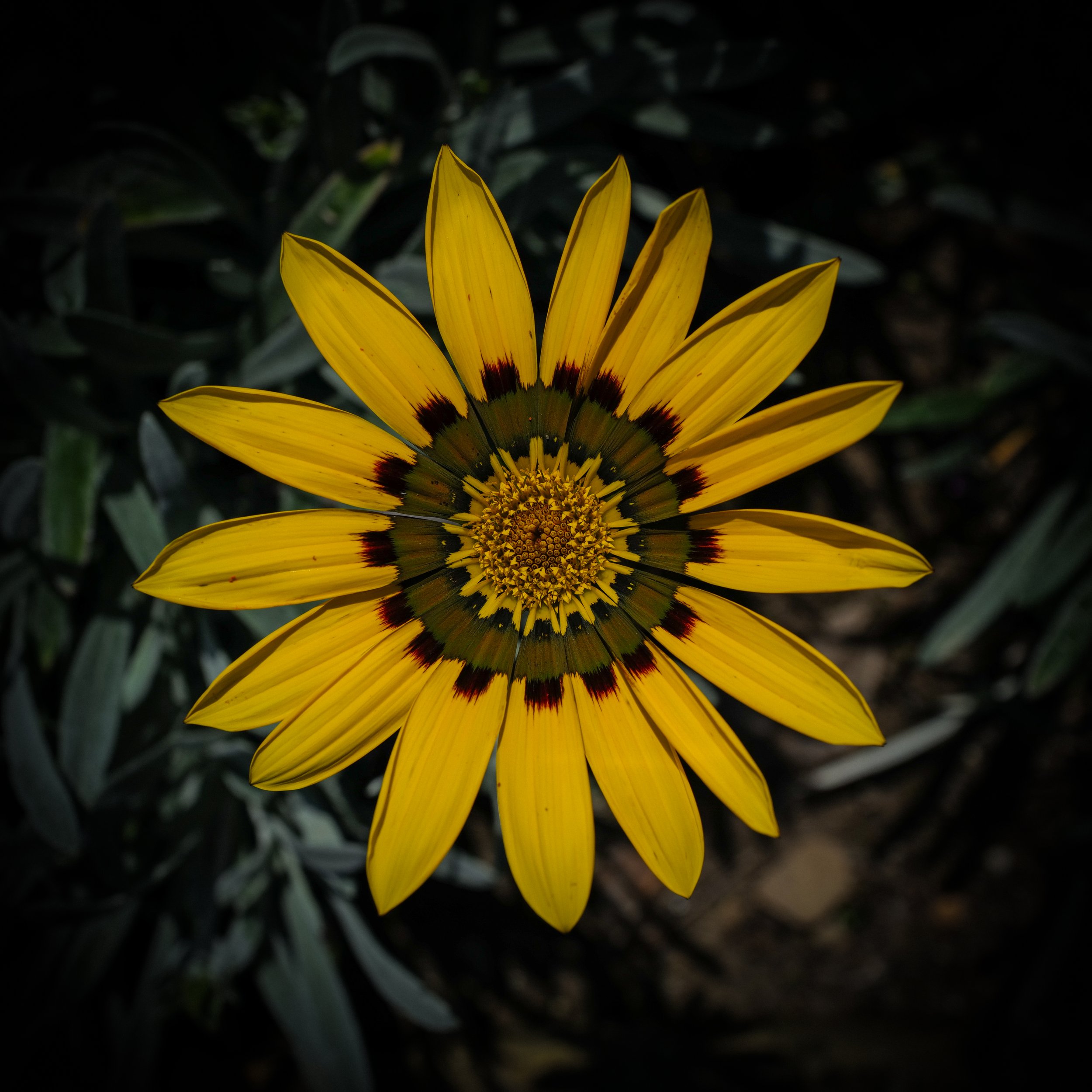 DO01020336.jpg