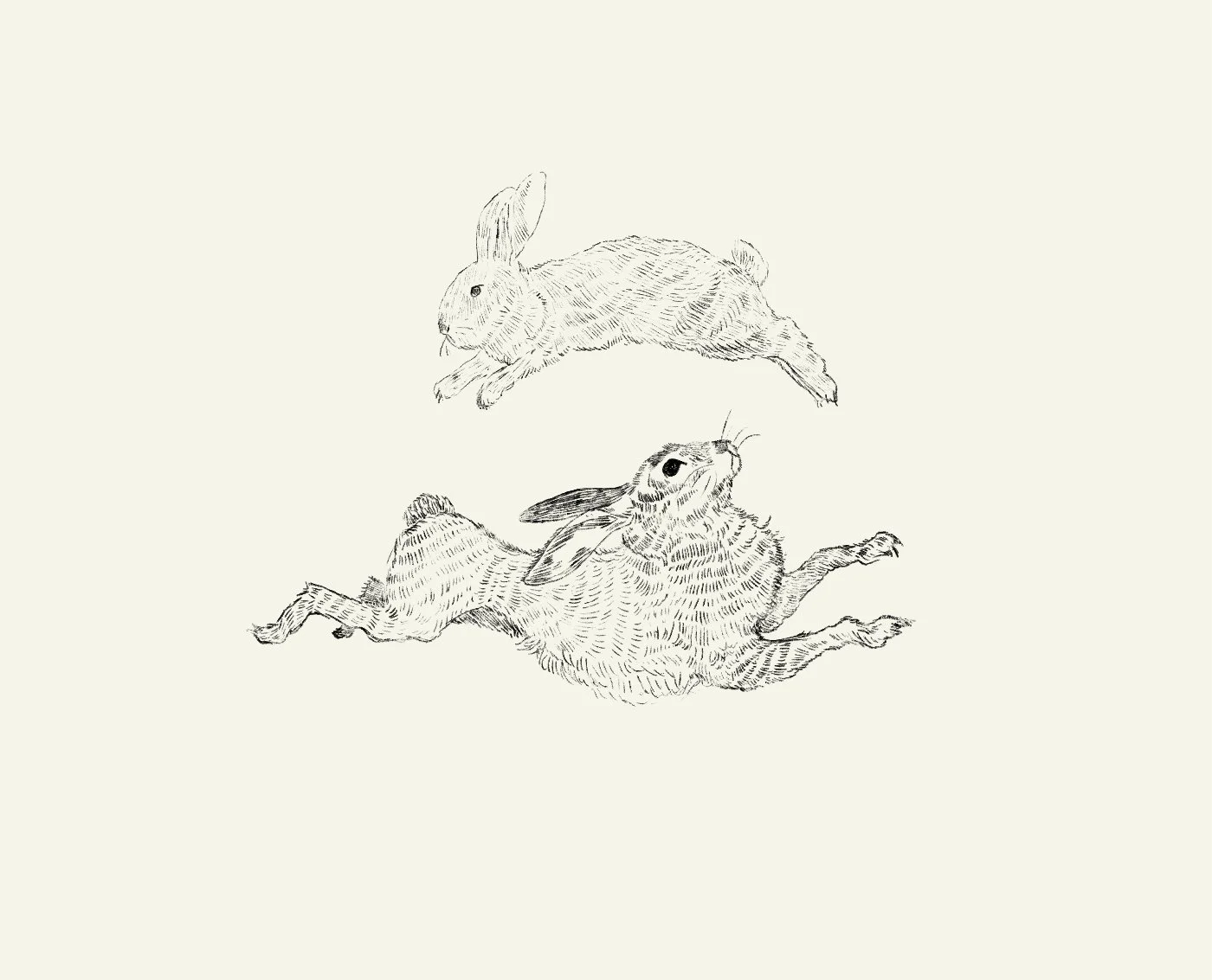 Sketch of two rabbits, one above the other, both in a leaping position.