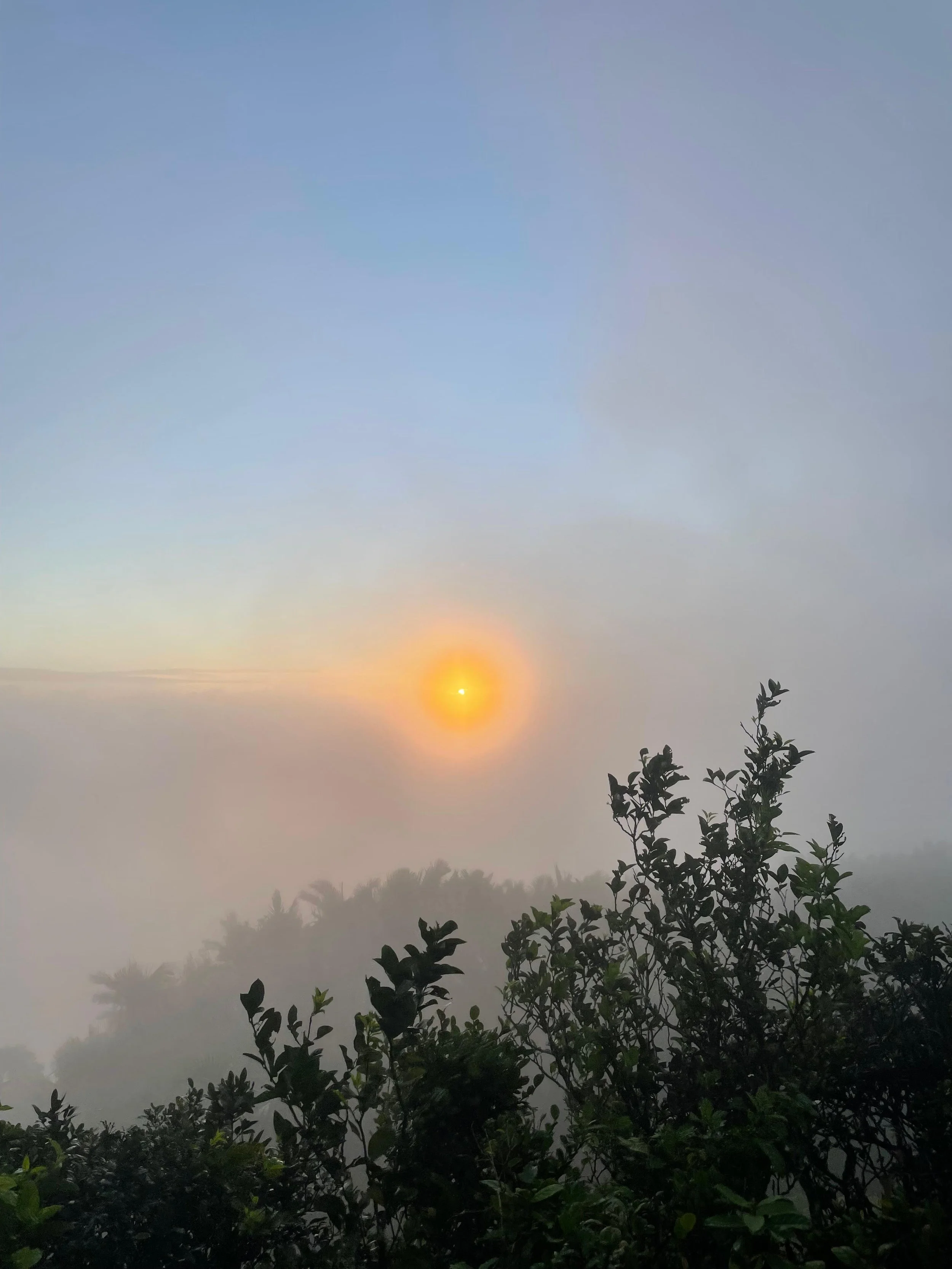 WhatsApp Image 2025-08-12 at 4.45.59 PM.jpeg