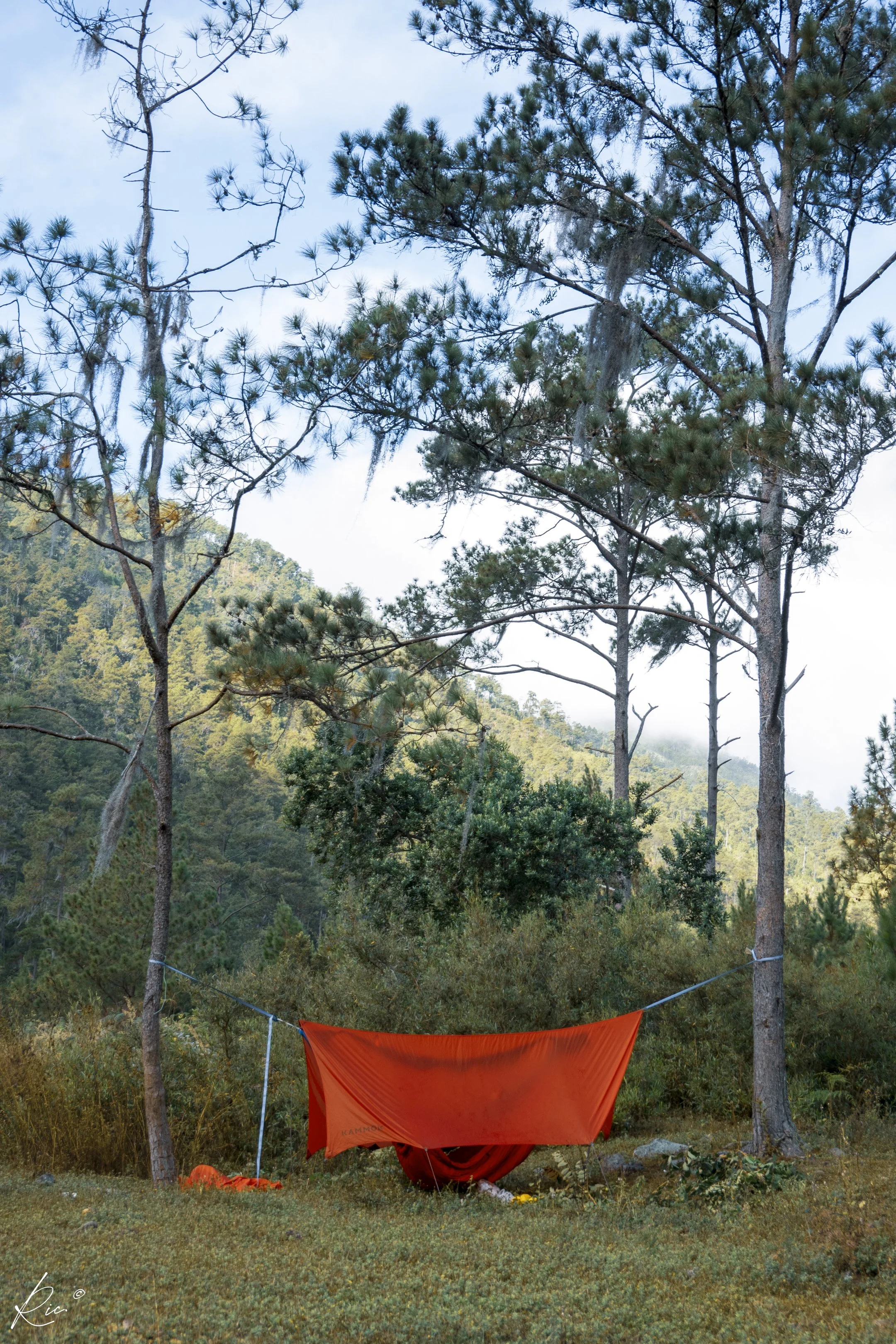 Paisaje montañoso con árboles altos y un toldo naranja atado entre dos árboles. Hay vegetación densa alrededor y una ligera neblina en el fondo.