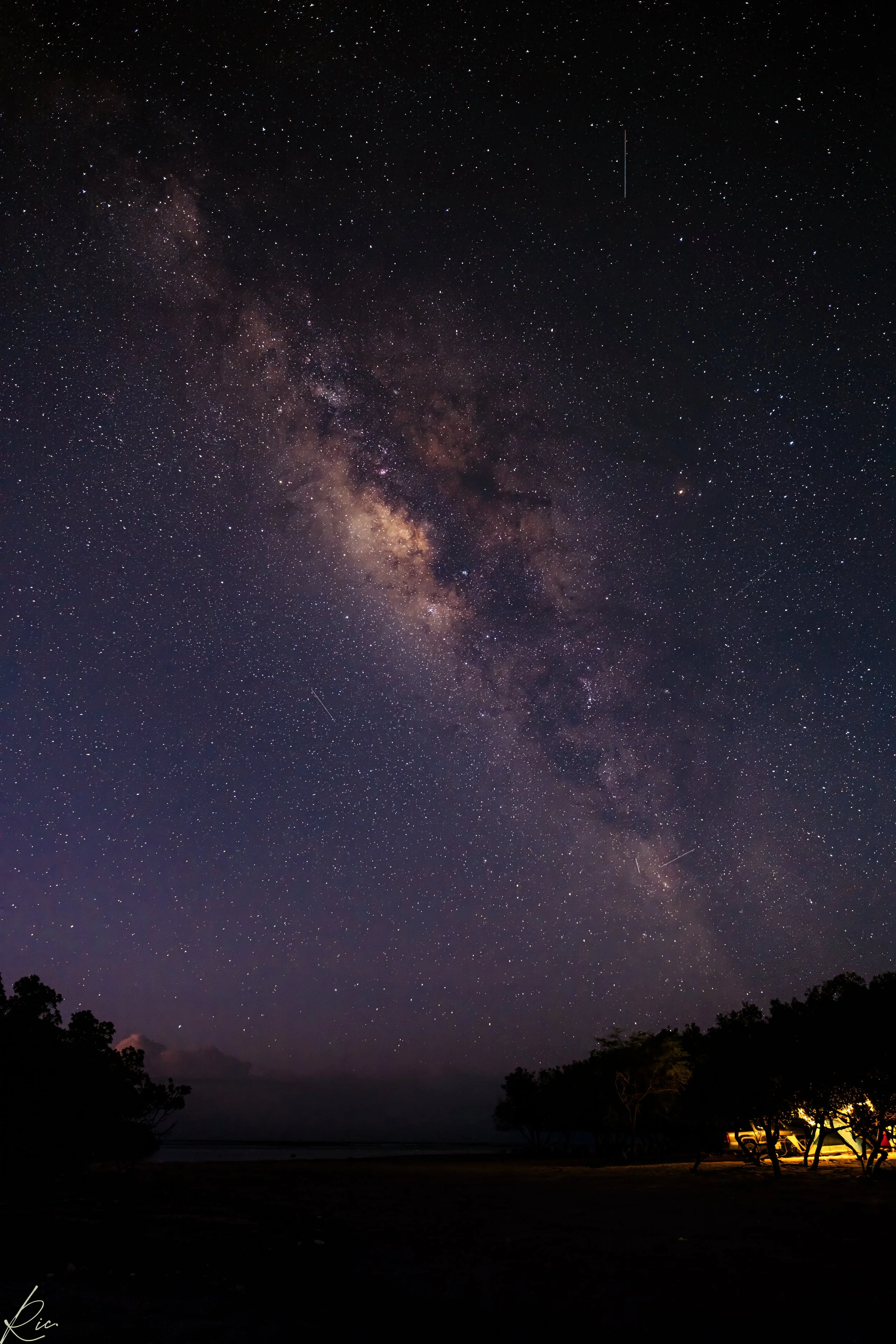 Paisaje nocturno con la Vía Láctea sobre un campamento iluminado y árboles.
