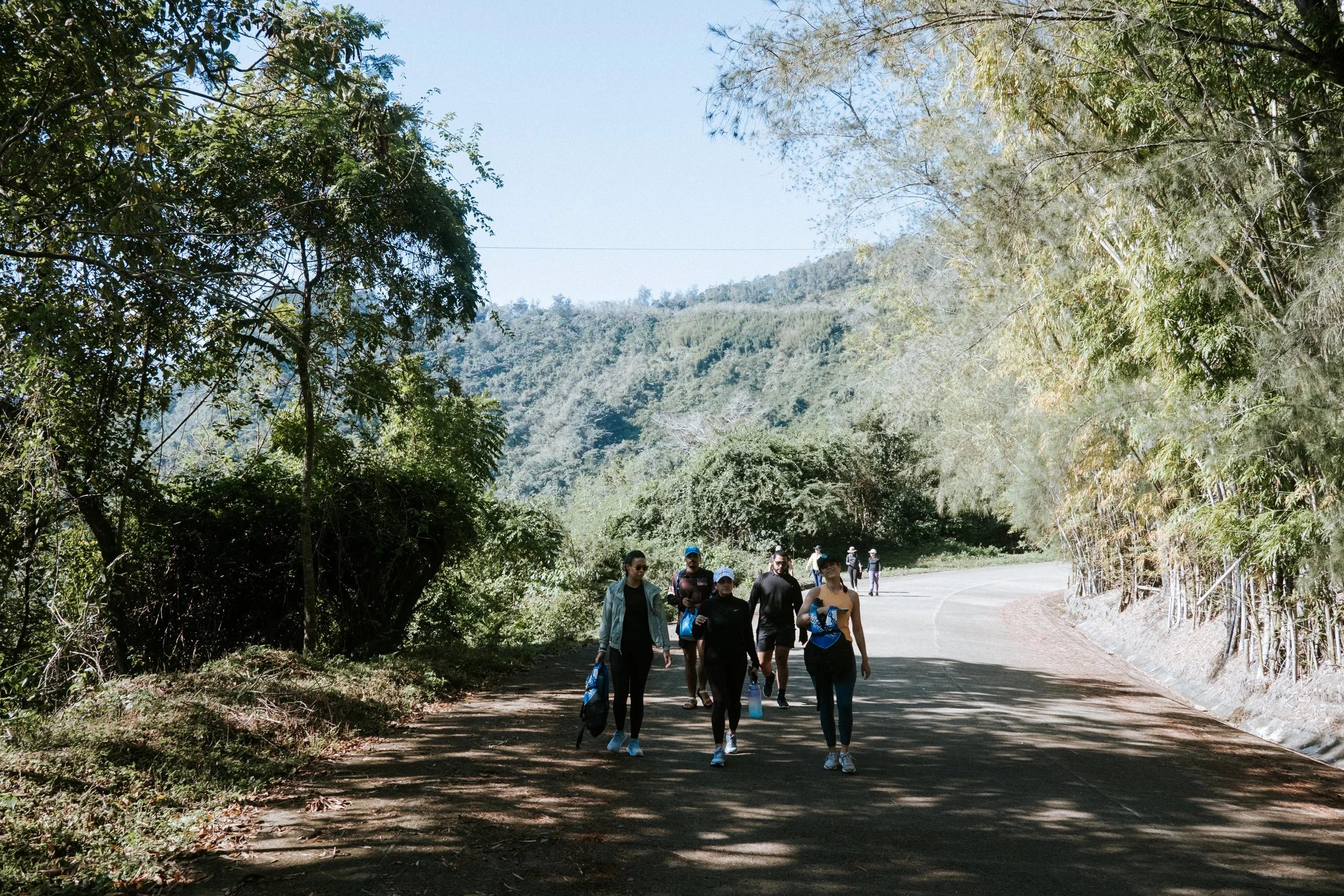 Grupo de personas caminando por un sendero rodeado de vegetación y montañas.