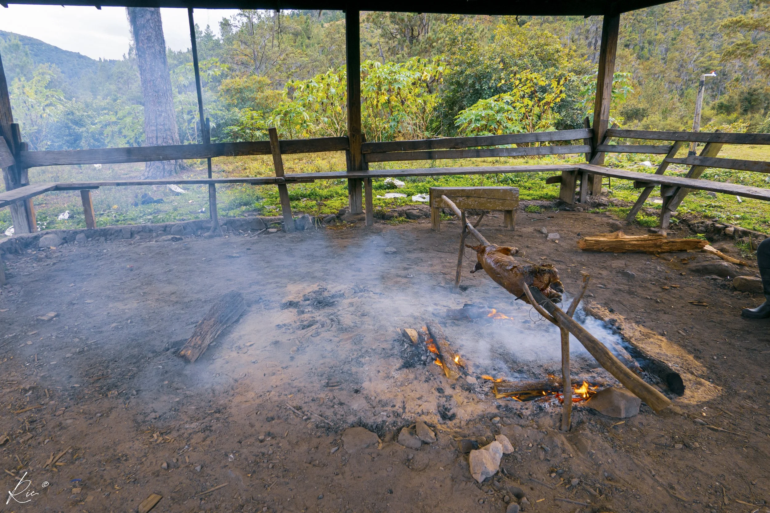 Fogata al aire libre en un área rural con un cerdo asándose sobre el fuego. Alrededor hay bancas de madera y vegetación en el fondo.