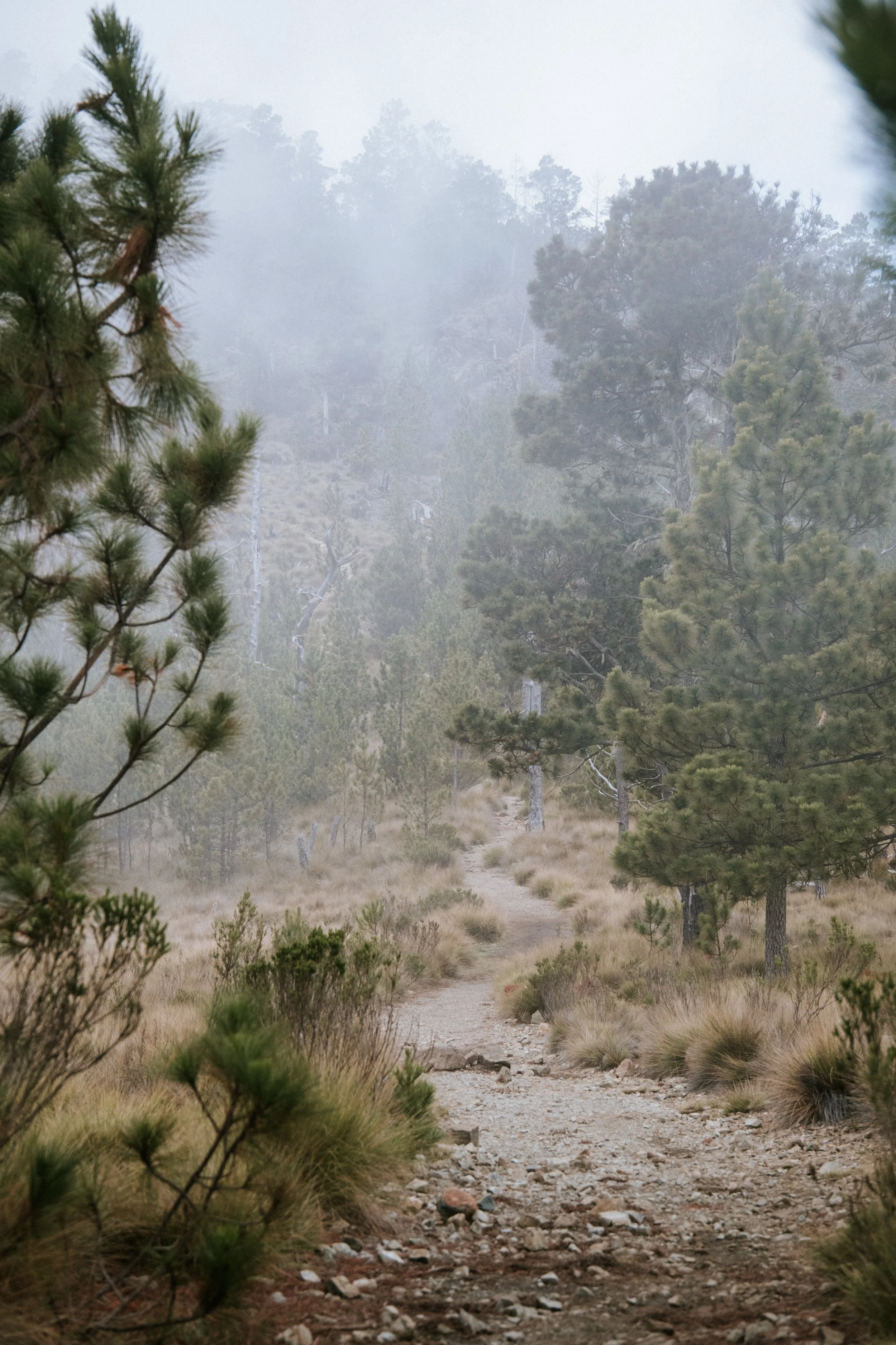 DSCF2690.jpg