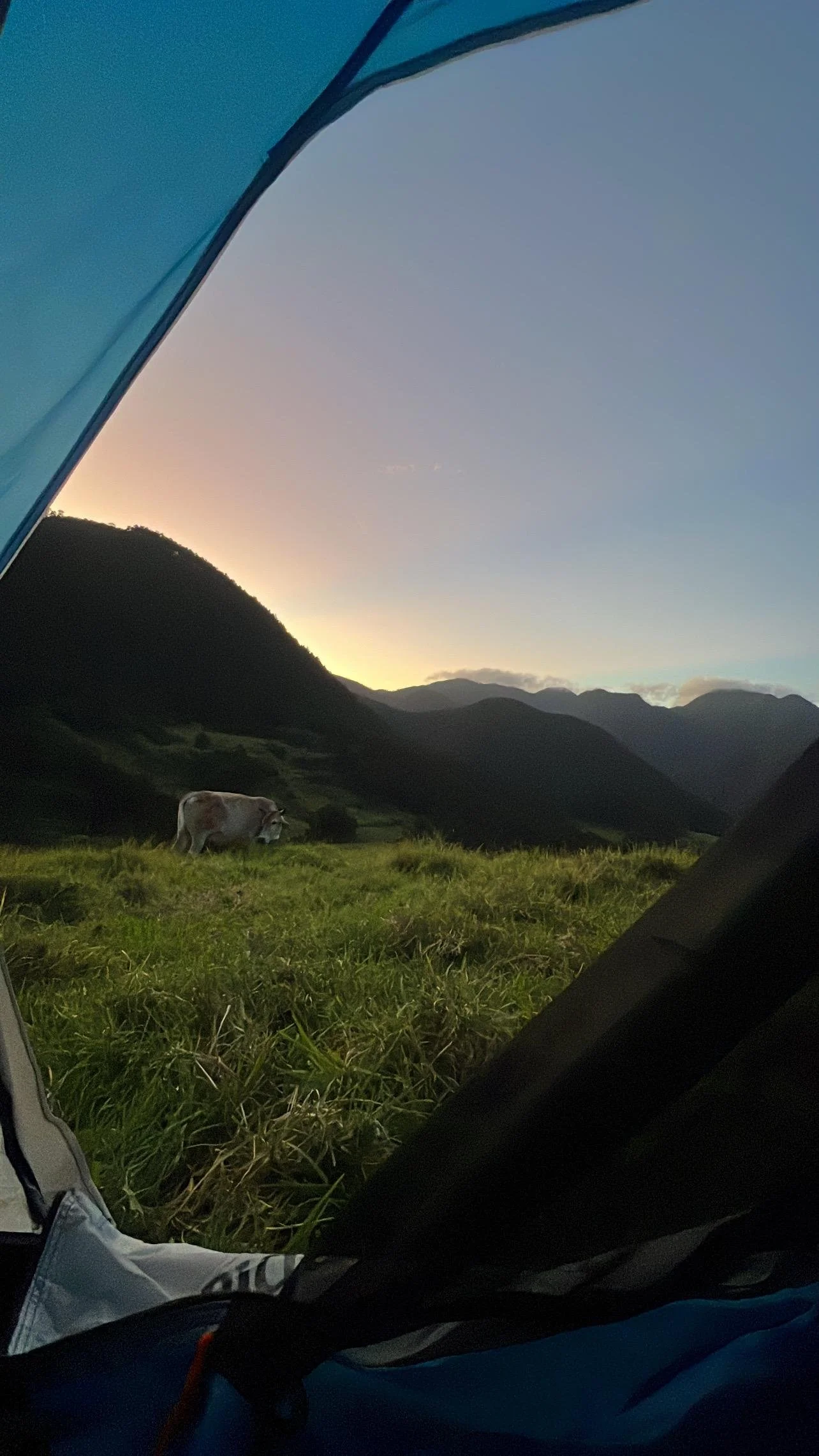 WhatsApp Image 2025-05-26 at 3.04.04 PM (3).jpeg