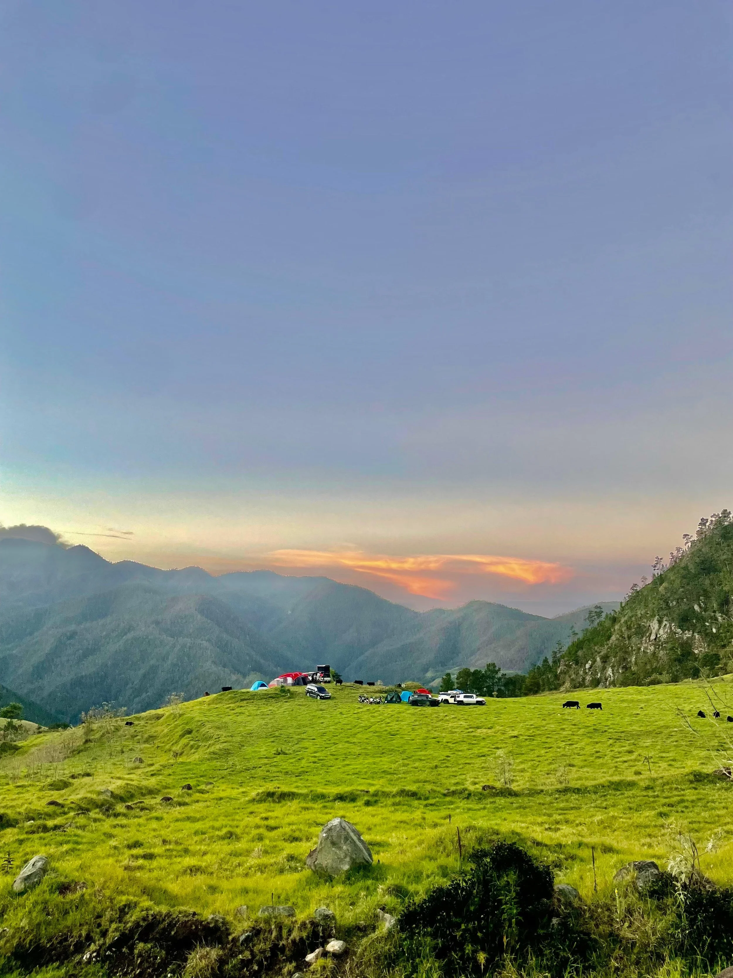 WhatsApp Image 2025-05-29 at 2.08.54 PM (2).jpeg