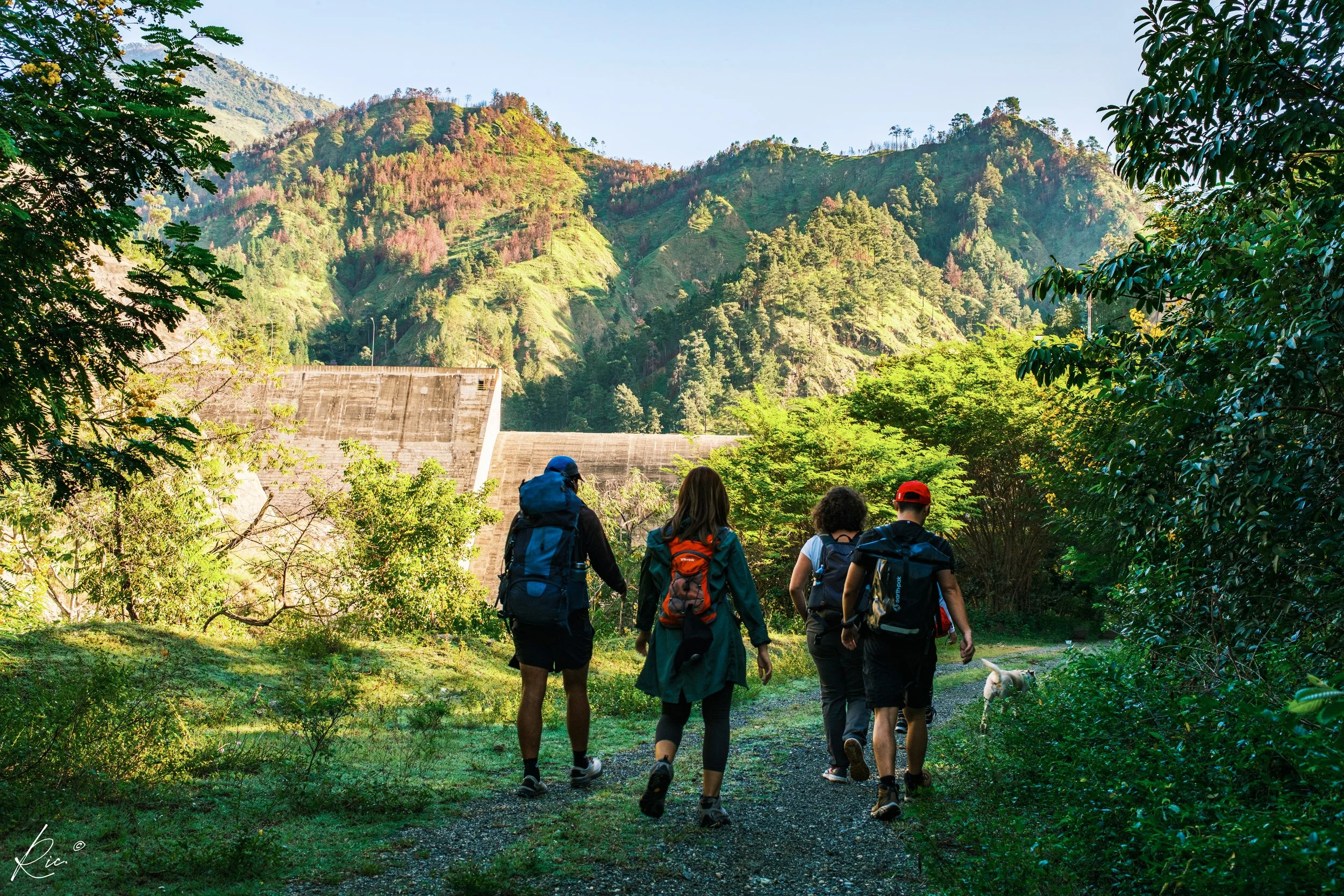 Grupo de excursionistas caminando por un sendero rodeado de vegetación, con montañas al fondo y un perro acompañando el grupo.