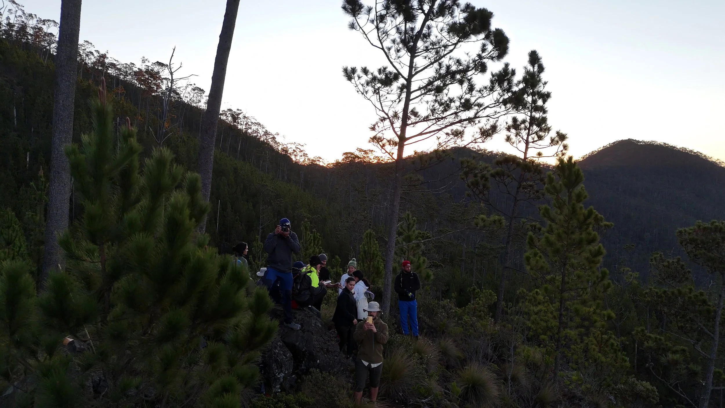 Grupo de personas en un bosque montañoso al atardecer, rodeados de árboles verdes y pinos, con colinas en el fondo.
