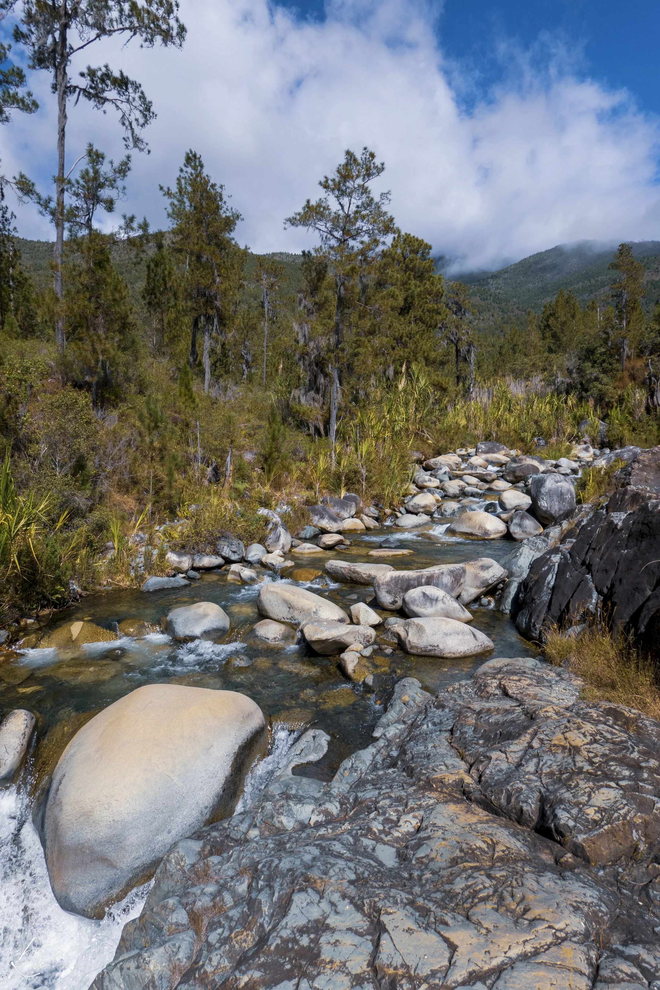 Paisaje de río con rocas grandes y árboles altos, cielo parcialmente nublado.