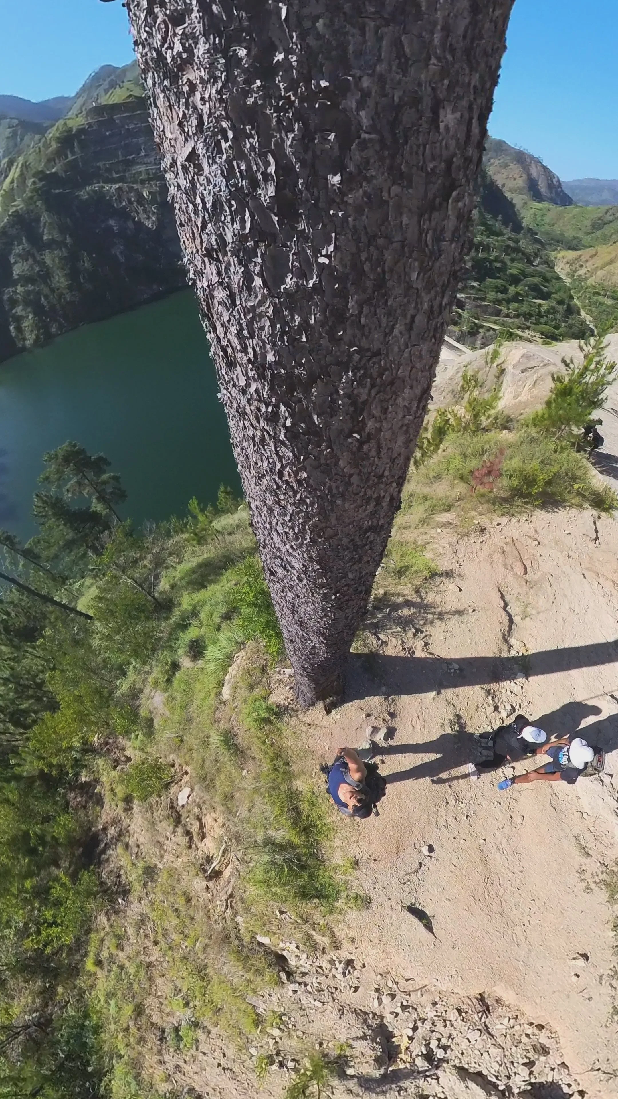 Vista desde arriba de un árbol alto con tres personas al pie en un entorno natural montañoso cerca de un cuerpo de agua y vegetación.
