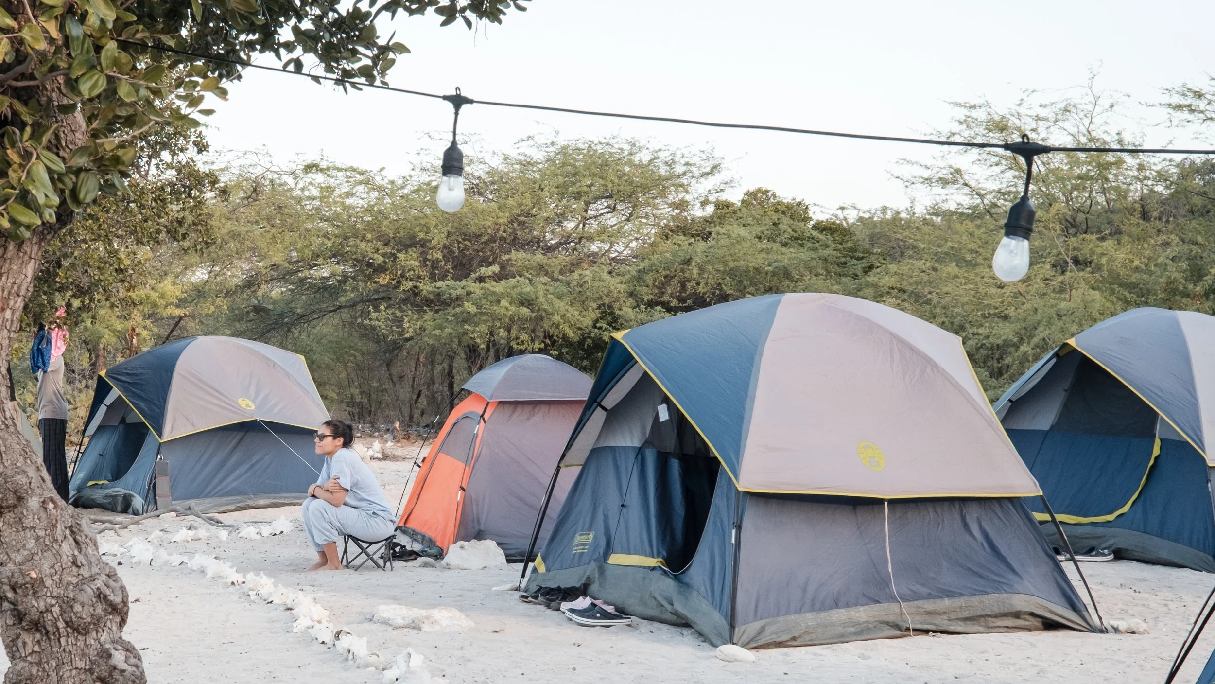 Campamento con tiendas de campaña en un entorno natural con árboles, una persona sentada al aire libre y luces colgantes.