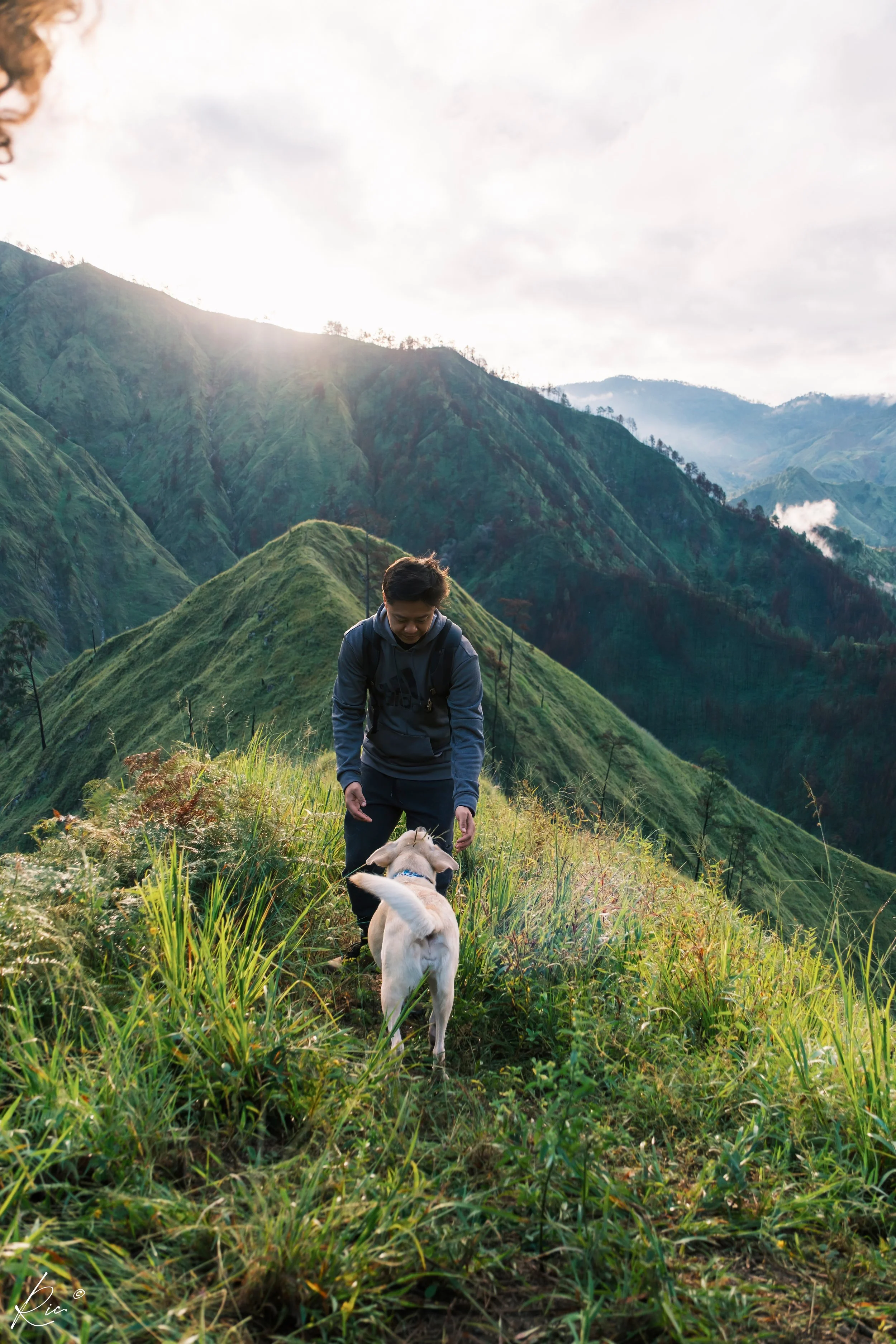 Persona con perro en sendero montañoso con paisaje verde y cielos nublados al amanecer.