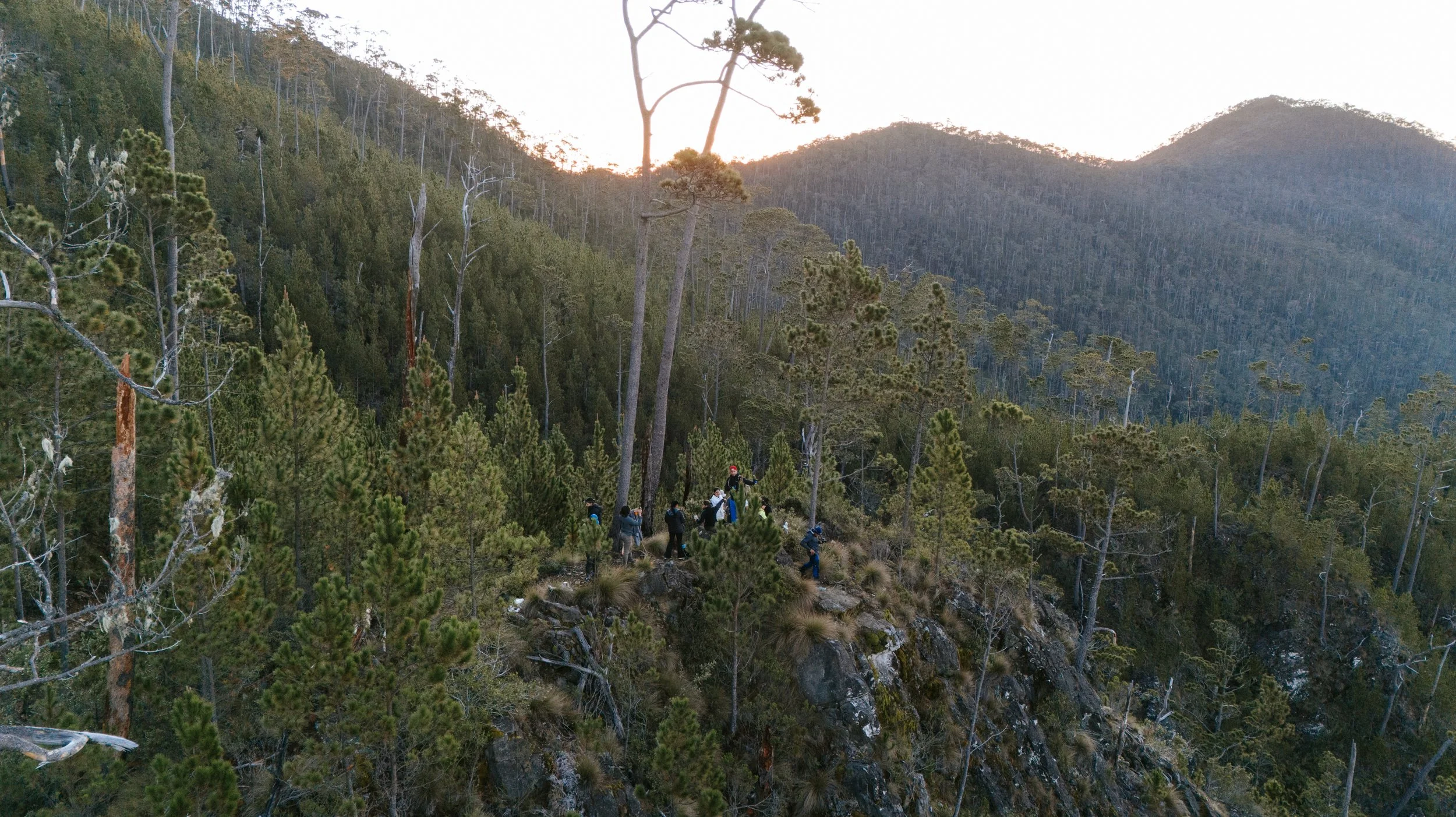 Grupo de personas en una cima rocosa rodeada de bosque con árboles altos y colinas al fondo.