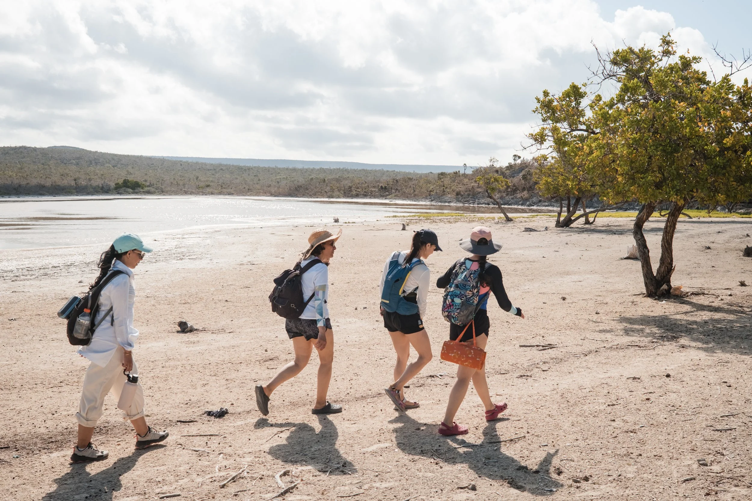 Personas caminando en una playa desértica con mochilas y sombreros, árboles al fondo.