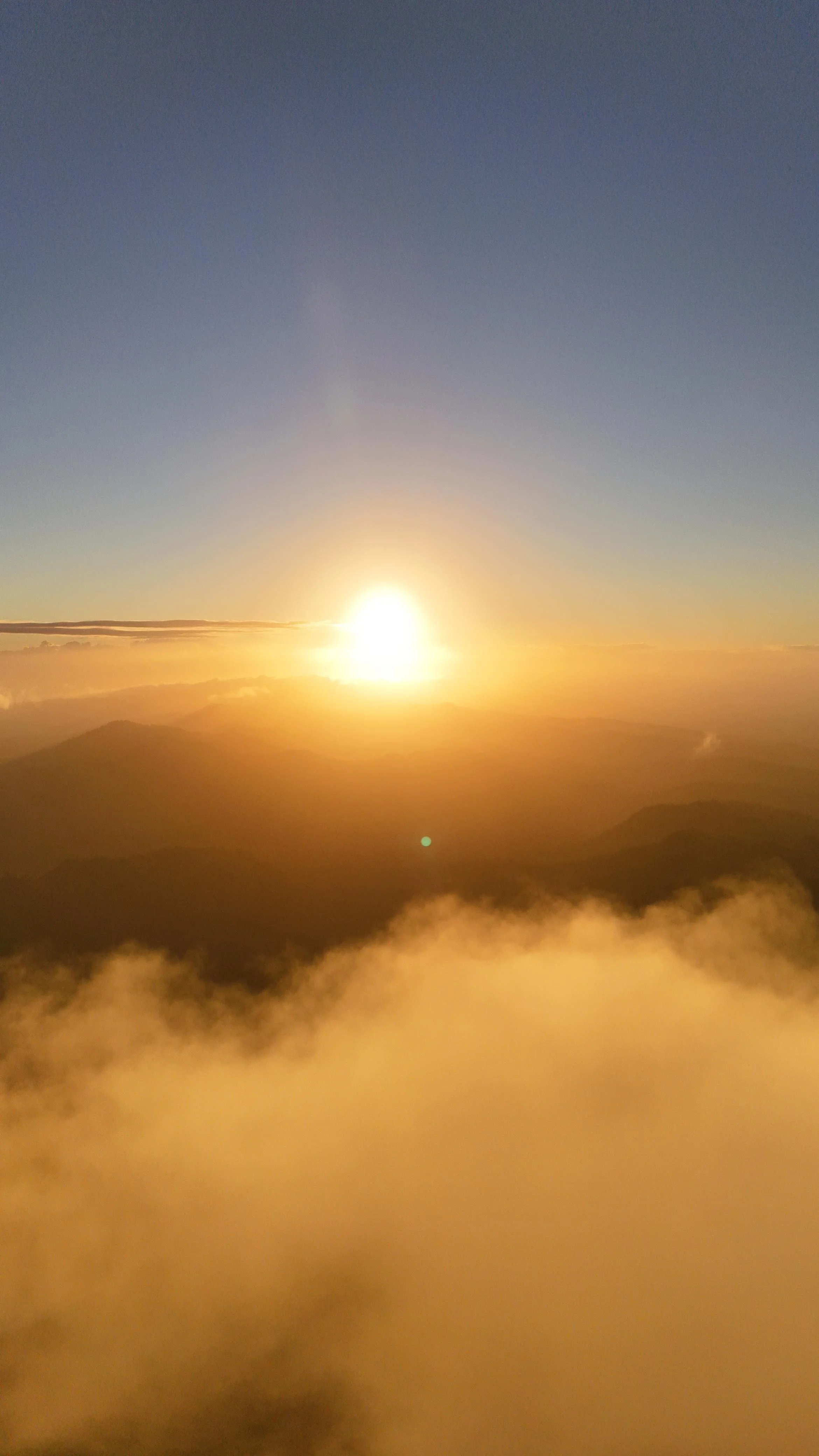 WhatsApp Image 2025-08-12 at 4.46.00 PM (1).jpeg