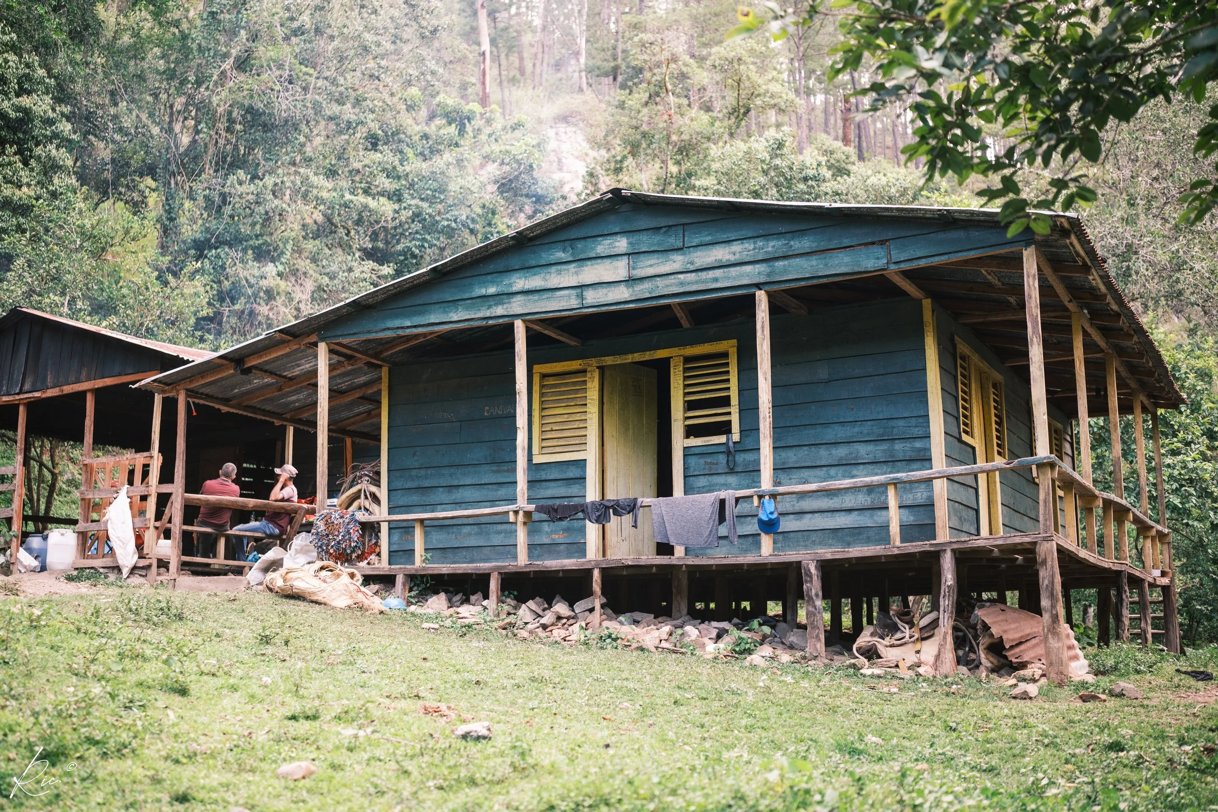 Cabaña de madera en un entorno rural con personas sentadas en el porche, rodeada de vegetación y bosque.