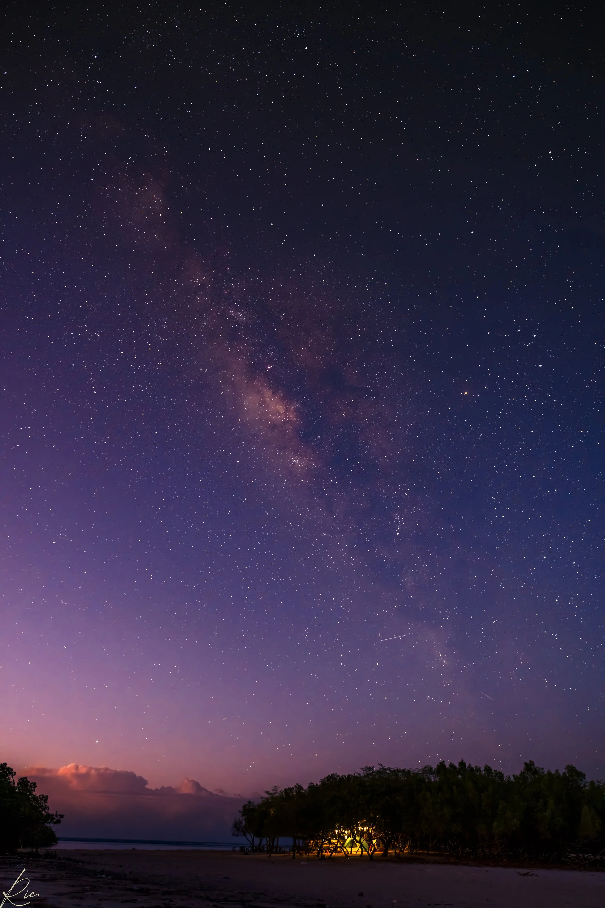 Cielo estrellado con la Vía Láctea sobre un paisaje nocturno con algunas luces entre árboles.