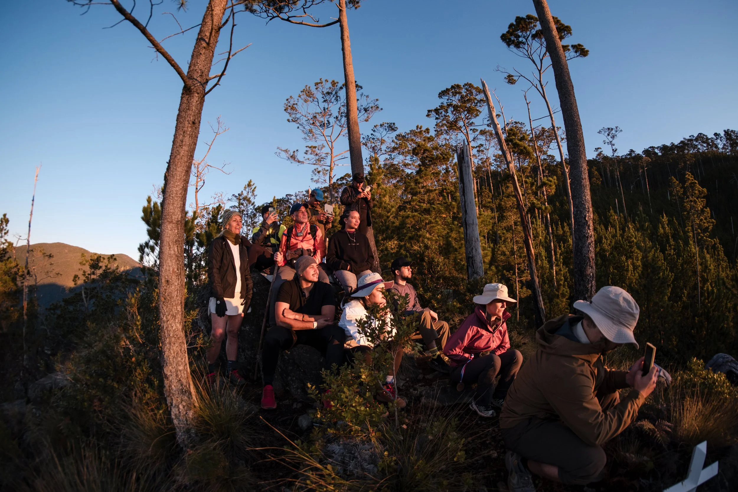 Grupo de excursionistas en una montaña boscosa al atardecer, algunos tomando fotos y otros contemplando el paisaje.