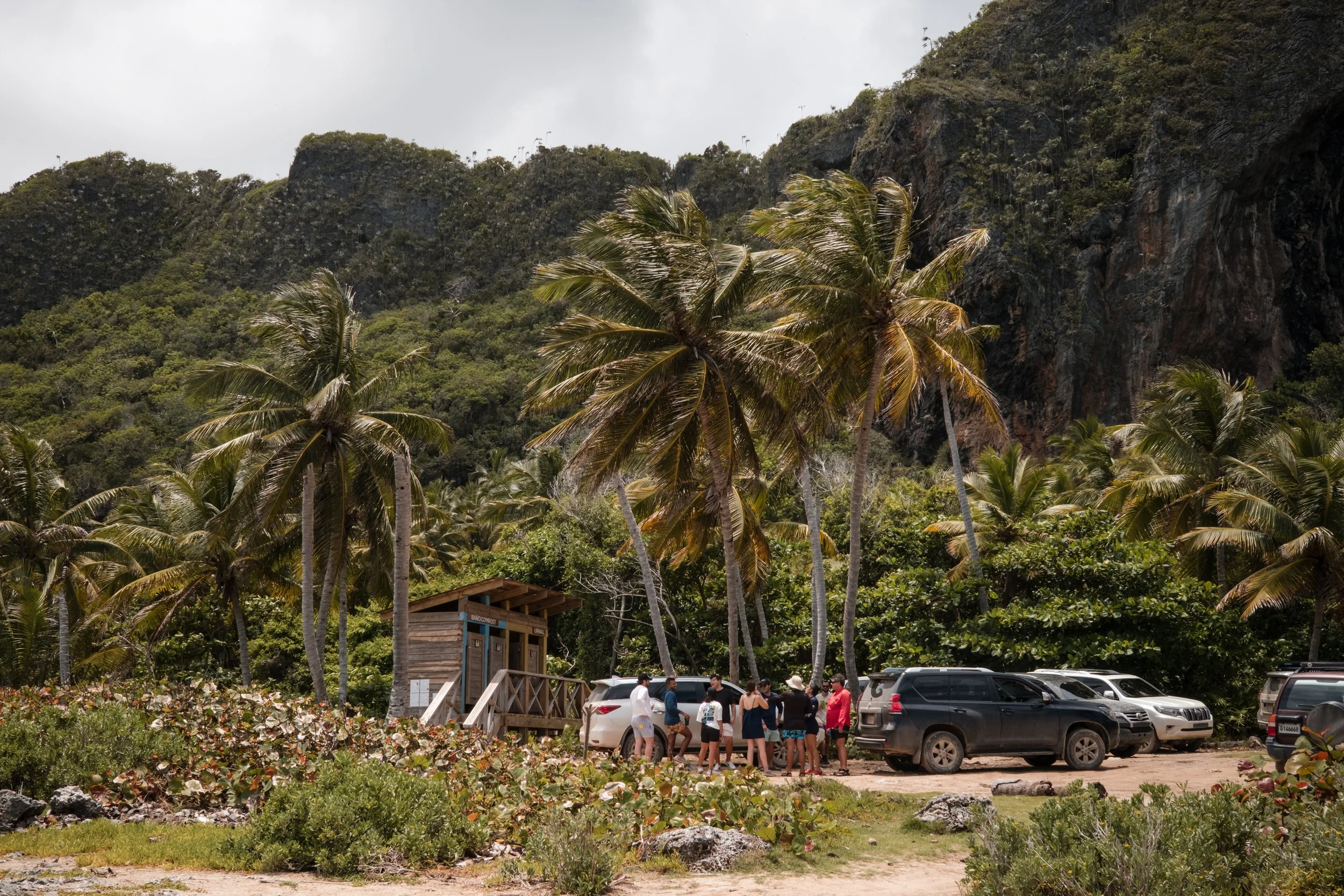 Grupo de personas junto a vehículos en un entorno natural con palmeras y montañas.