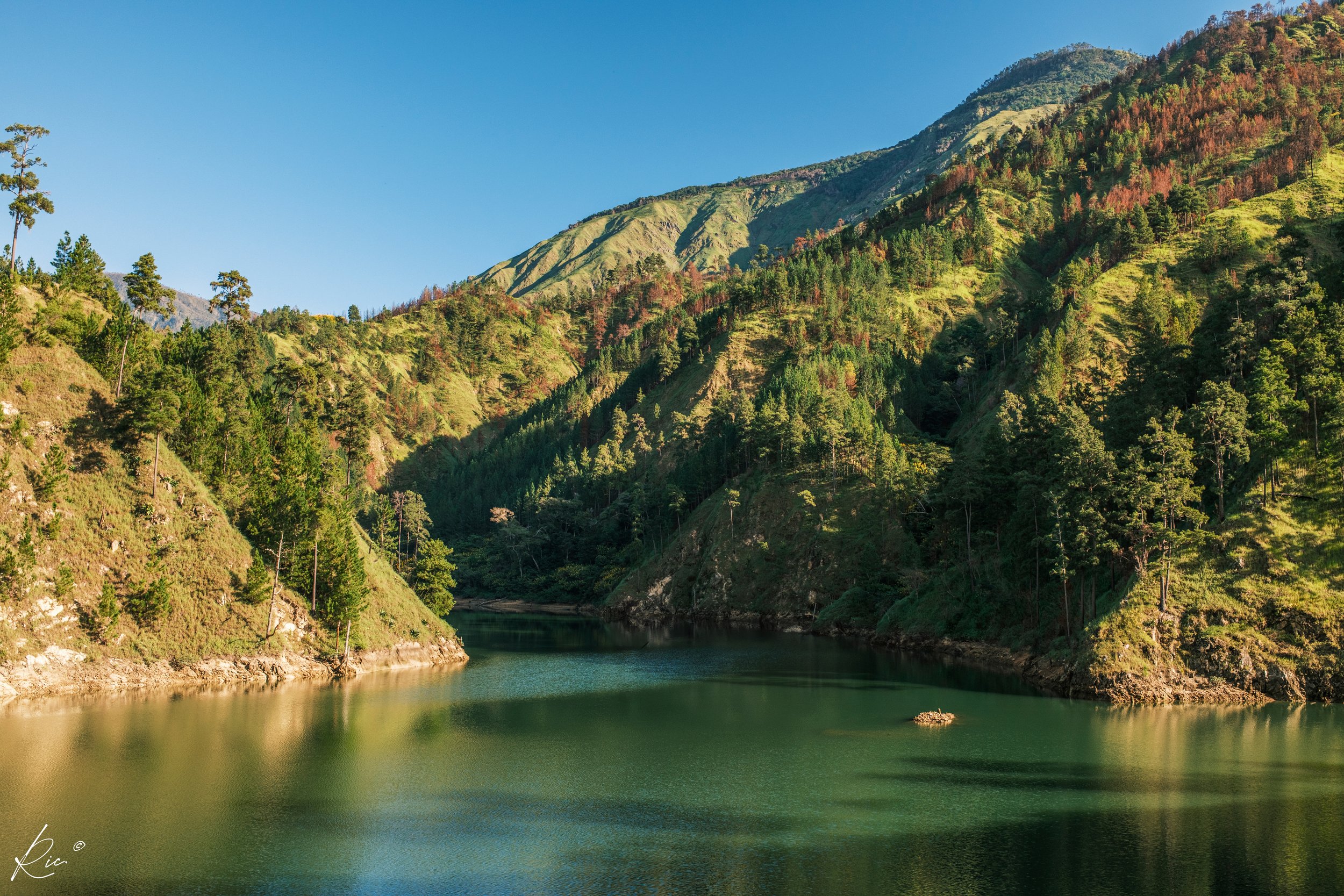 Paisaje de montañas verdes con un lago tranquilo y cielo azul claro.