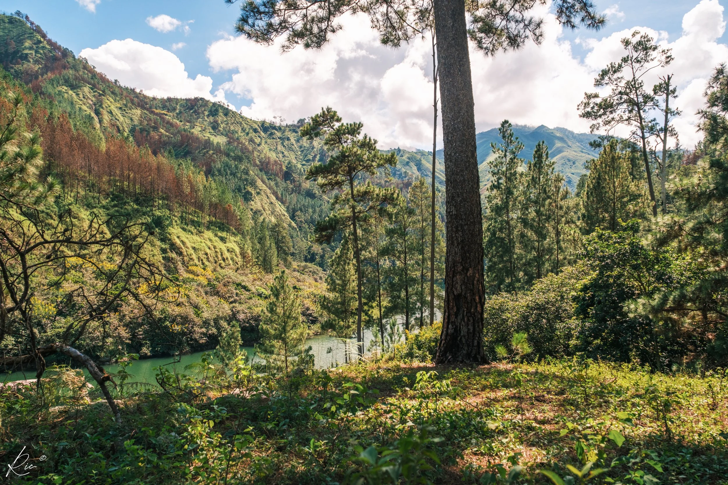 Paisaje montañoso con árboles y río, cielo azul con nubes.
