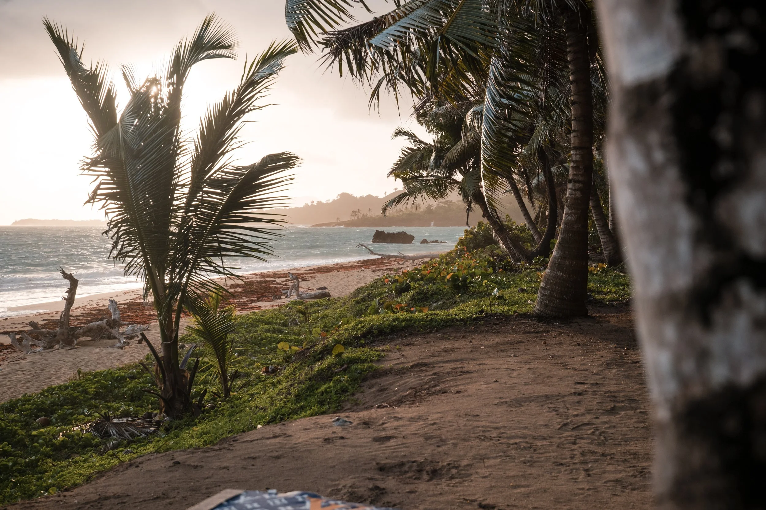 Playa con palmeras al atardecer, arena y mar con olas, vegetación tropical.