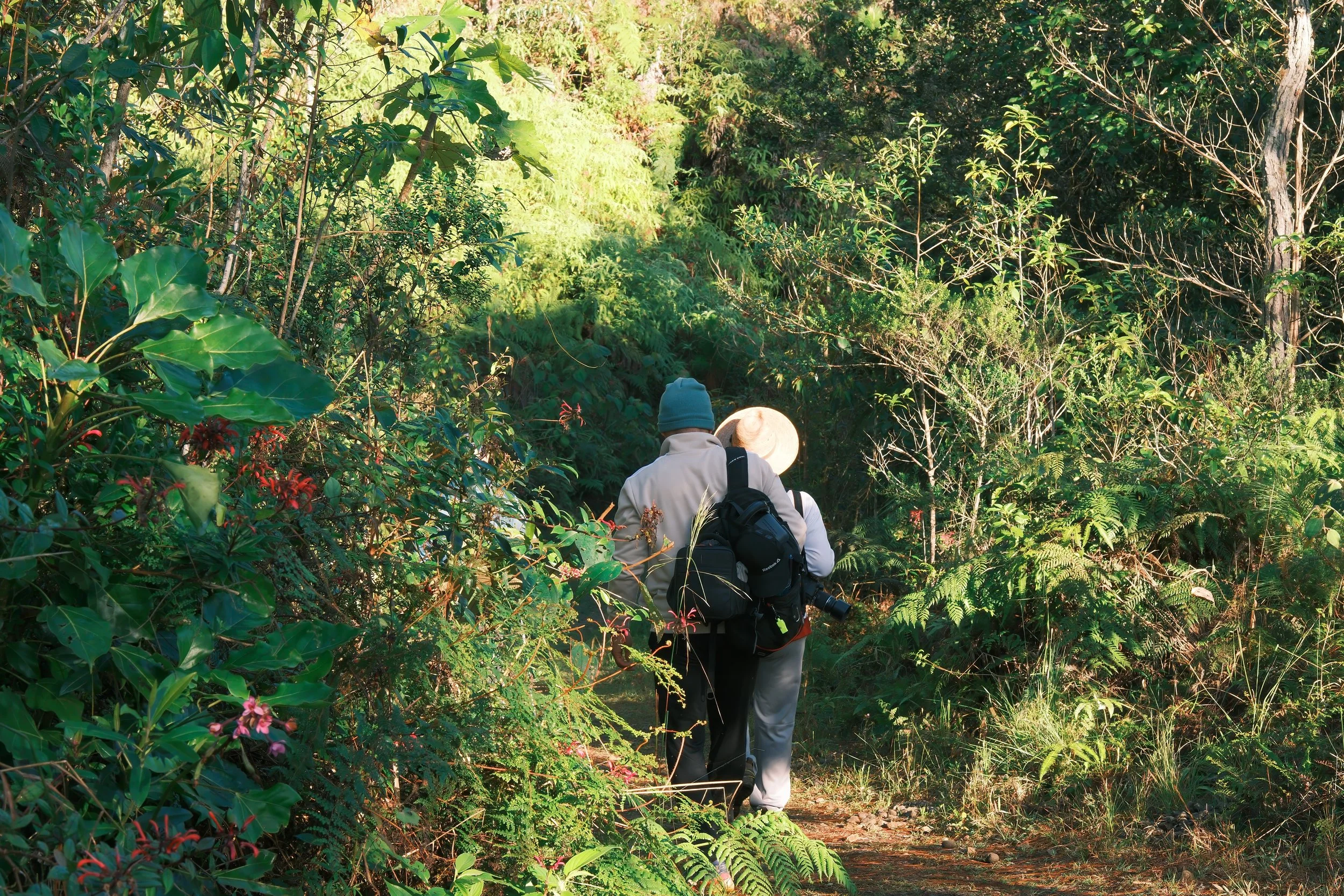Dos personas caminando por un sendero en un bosque con vegetación abundante.
