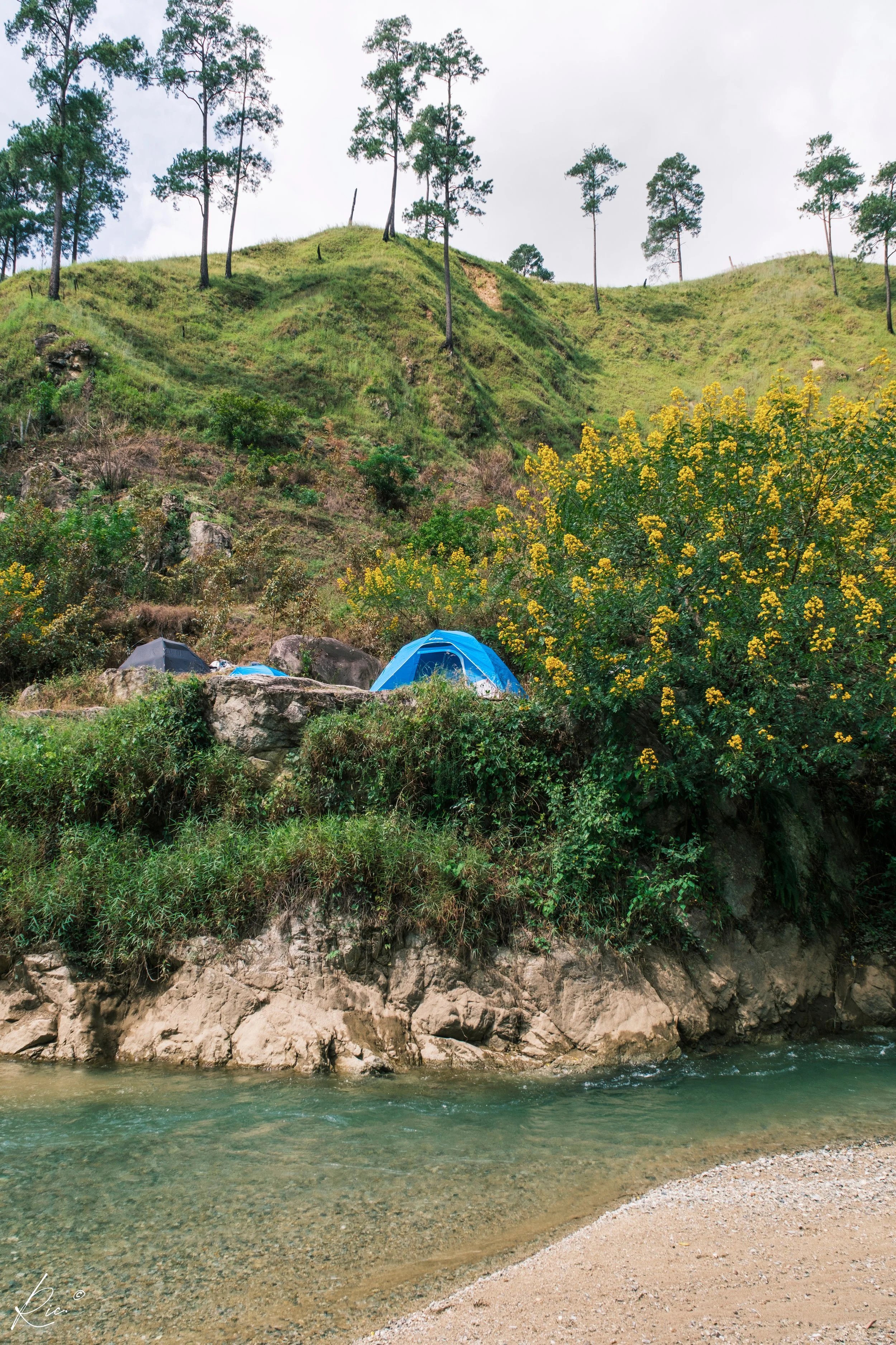 Río con agua clara frente a una colina verde con árboles y flores amarillas. Se observan tiendas de campaña azules y grises en el lado de la colina.