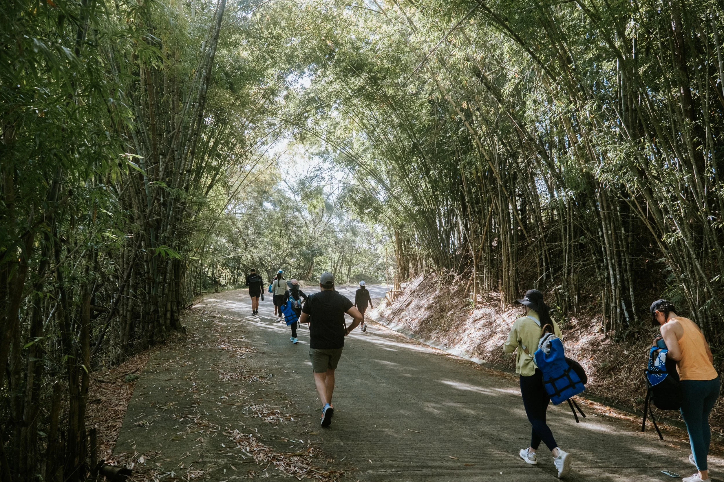 Personas caminando por un sendero rodeado de bambú y vegetación.