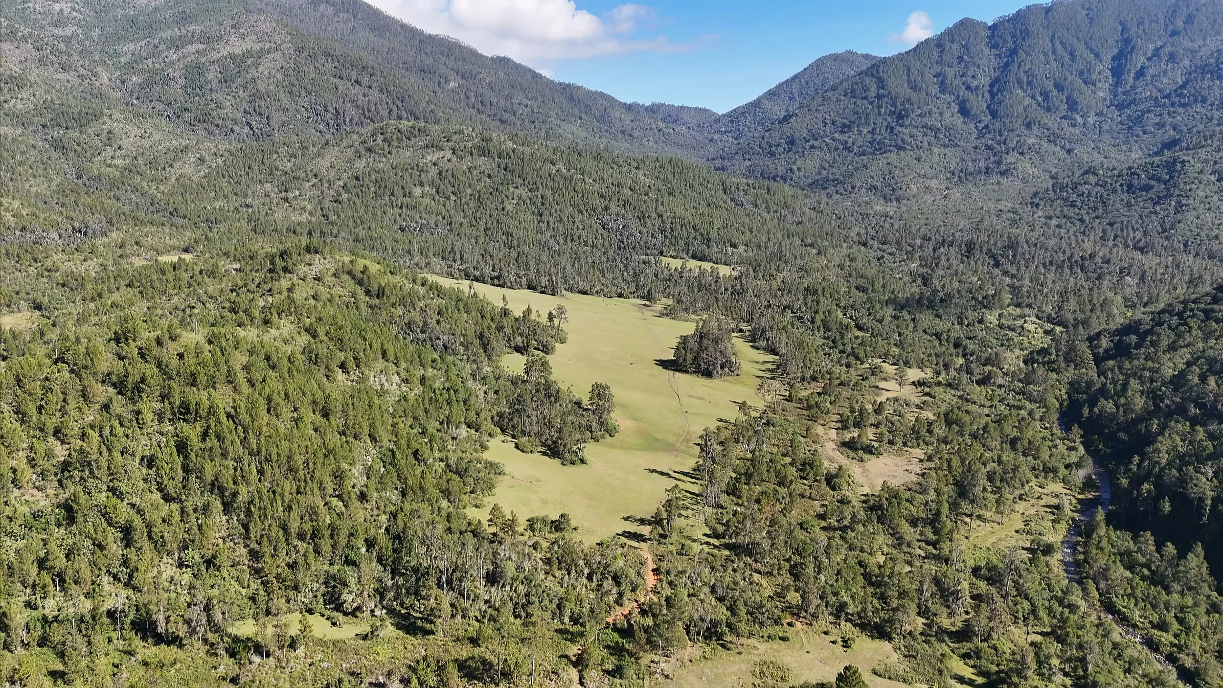 Vista aérea de un paisaje montañoso con colinas verdes, densos bosques y un claro en el centro, bajo un cielo despejado.