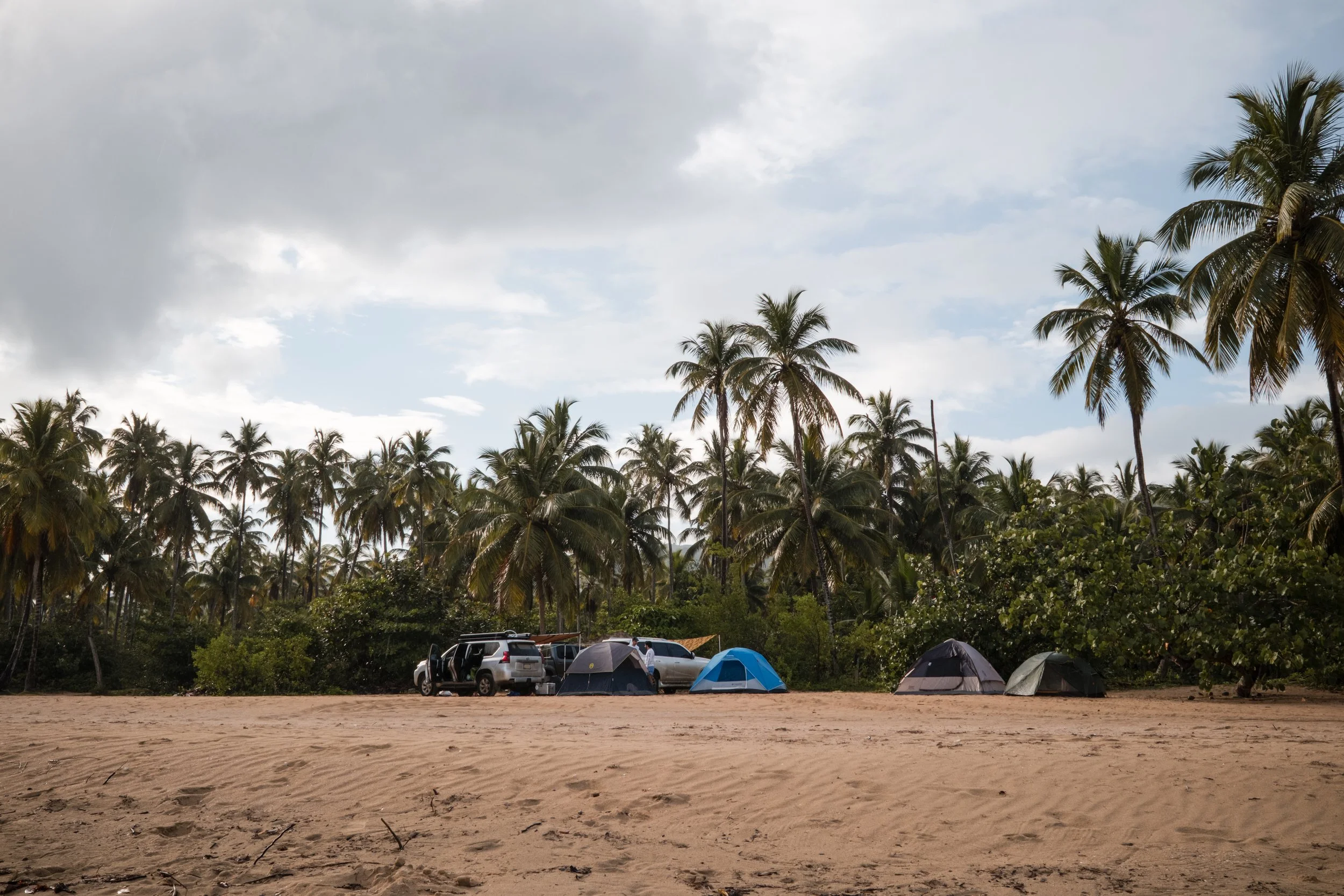 Playa con arena y palmeras, varias tiendas de campaña y dos vehículos estacionados en la orilla.