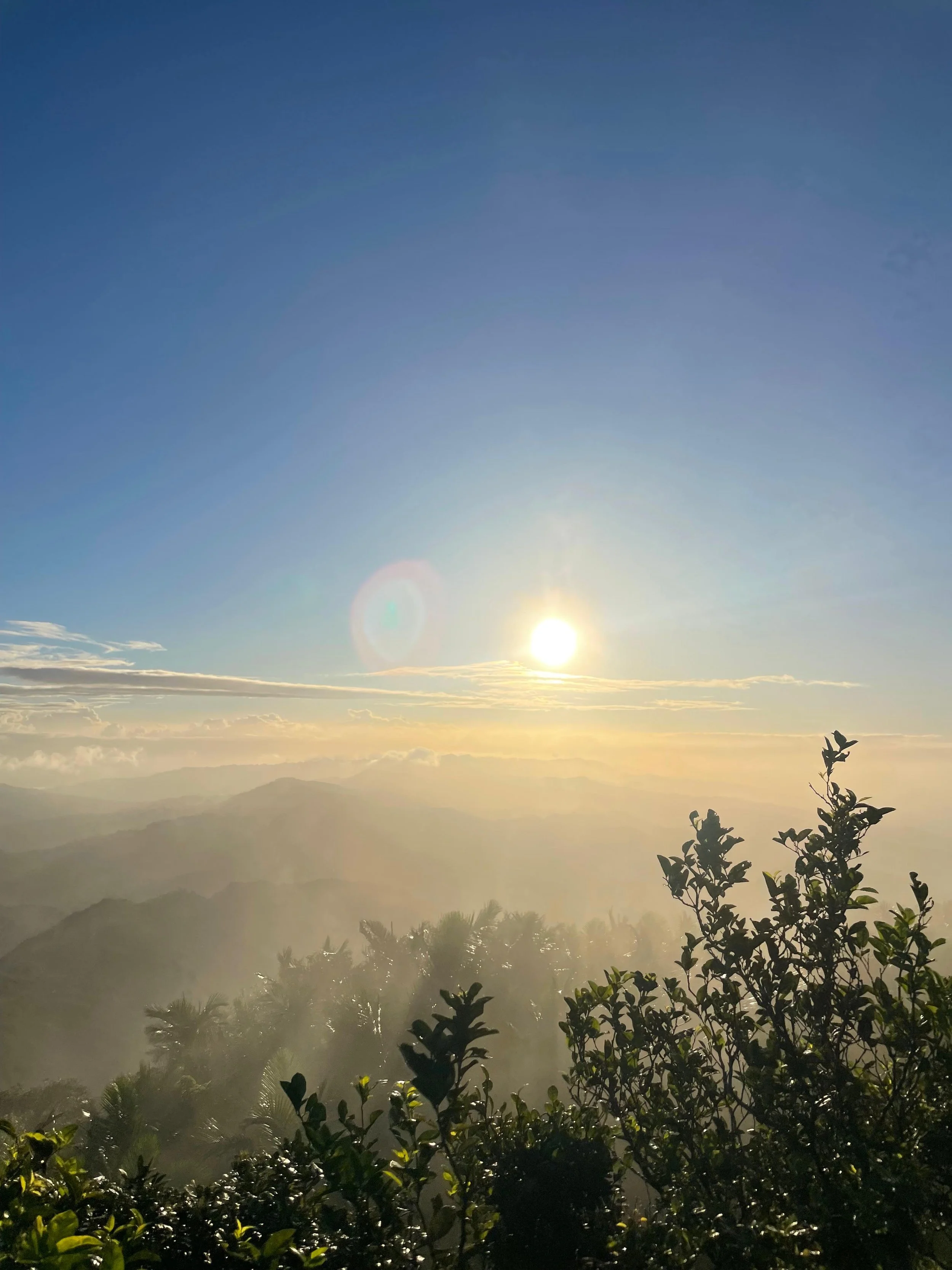 WhatsApp Image 2025-08-12 at 4.46.00 PM (2).jpeg