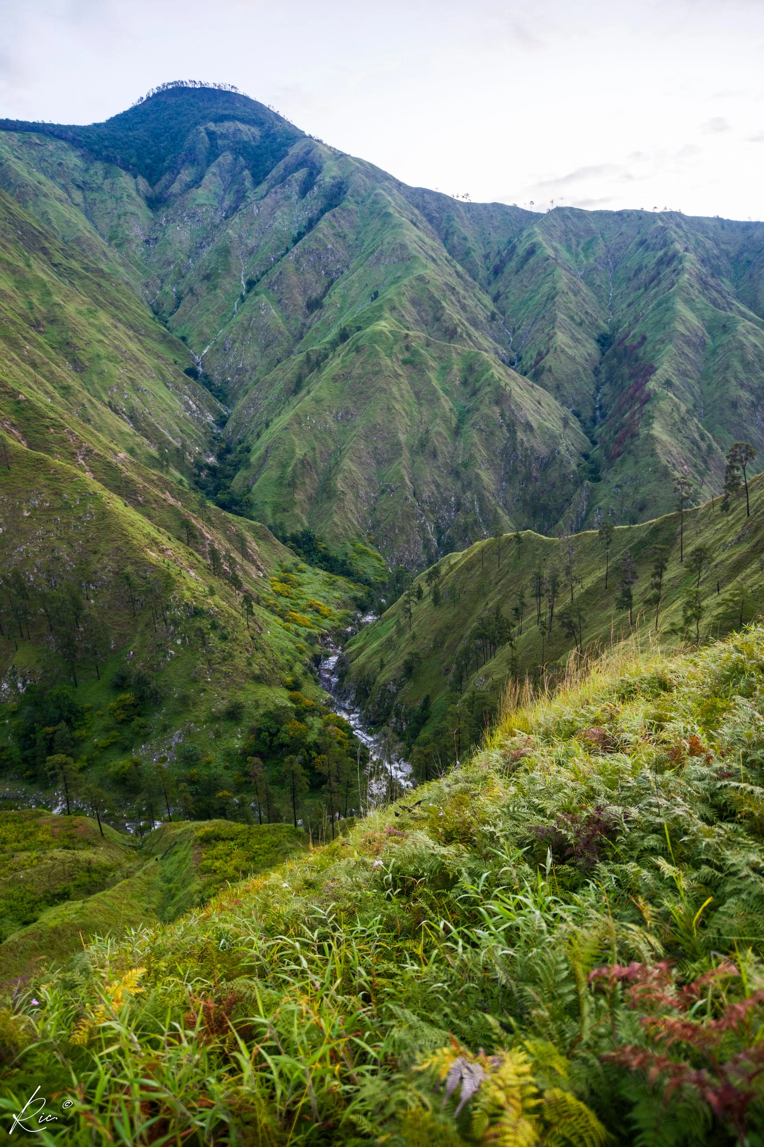 Paisaje montañoso con colinas verdes y un pequeño arroyo que serpentea por el valle, rodeado de vegetación exuberante.