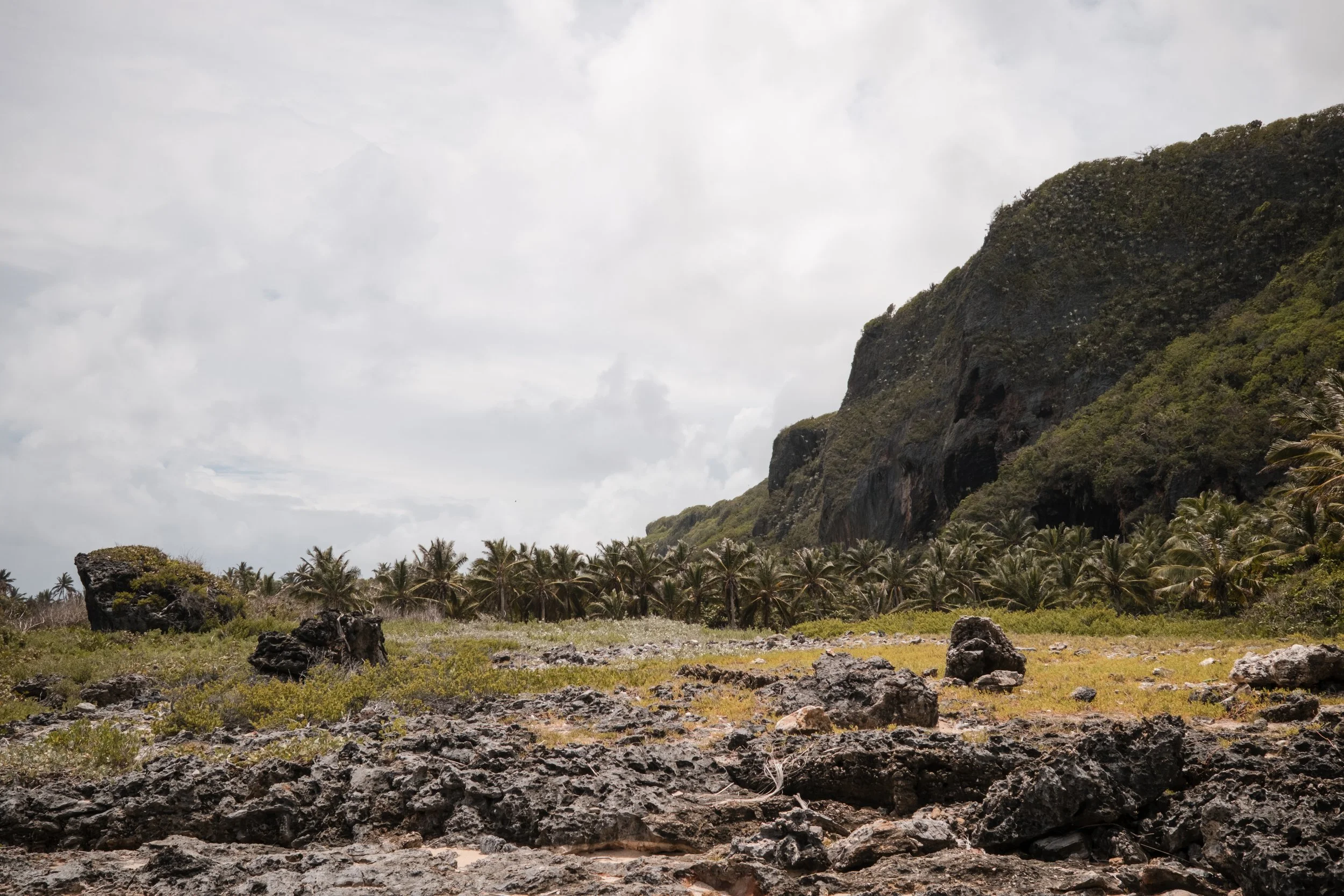 Paisaje tropical con colinas, palmeras y terreno rocoso bajo un cielo nublado.