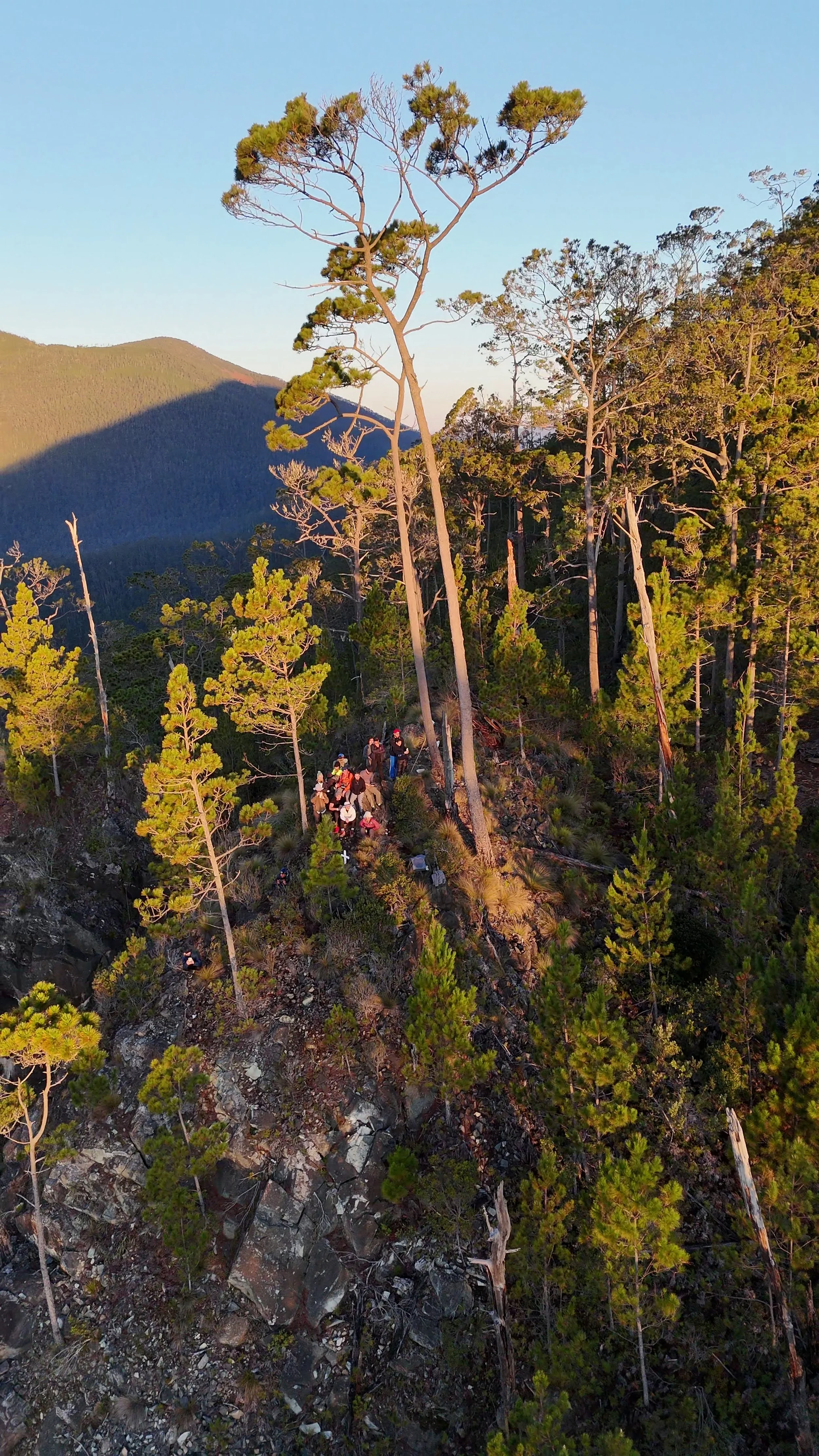 Grupo de excursionistas en un bosque montañoso