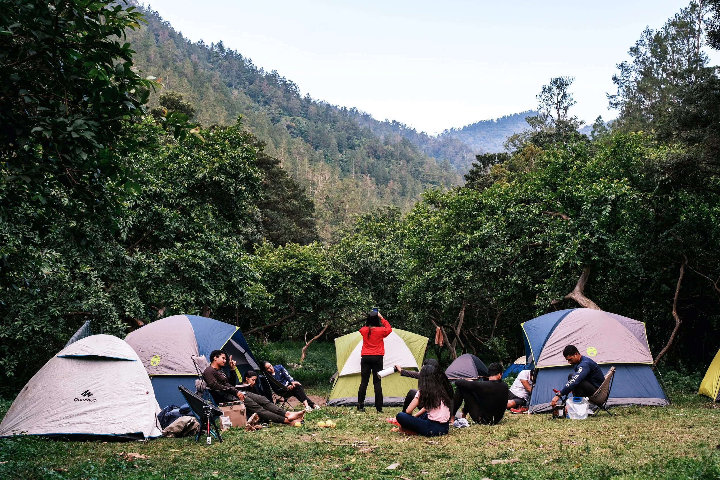Grupo de personas acampando en un bosque con tiendas de campaña rodeadas de árboles y montañas.